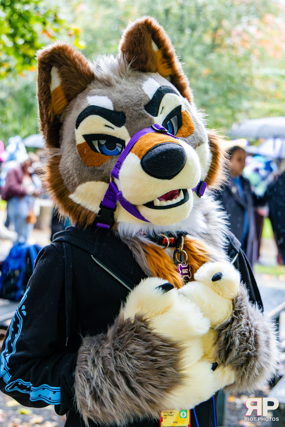 MancFurs - October, 2026 - 10 Oct 2026, Fluffy Riot photography - photo 26