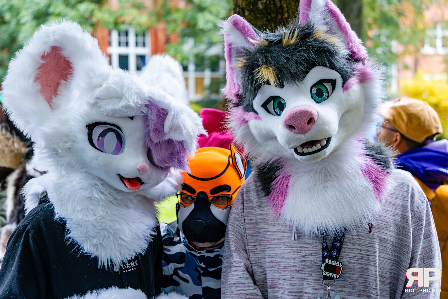 MancFurs - October, 2026 - 10 Oct 2026, Fluffy Riot photography - photo 25