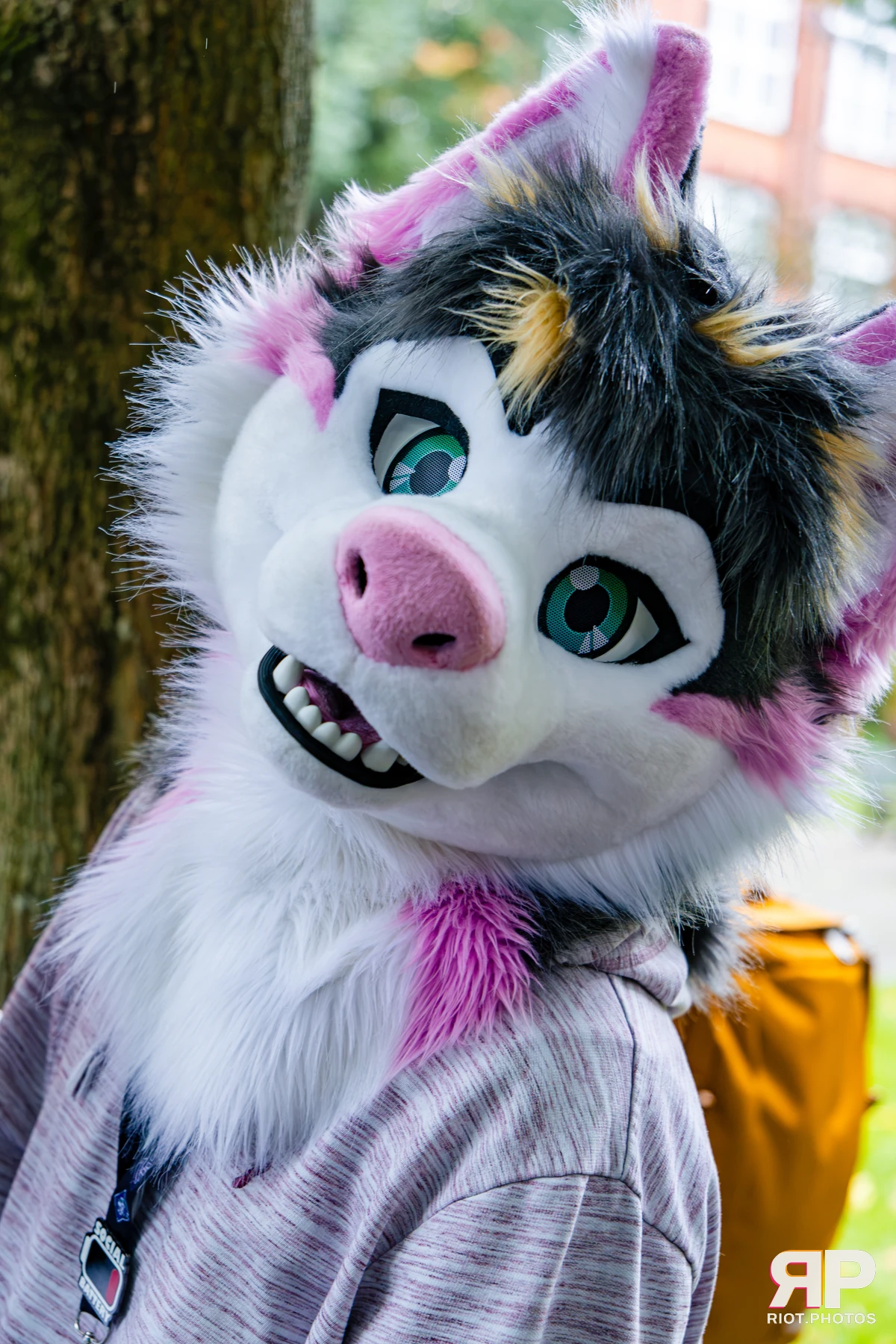 MancFurs - October, 2026 - 10 Oct 2026, Fluffy Riot photography - photo 24