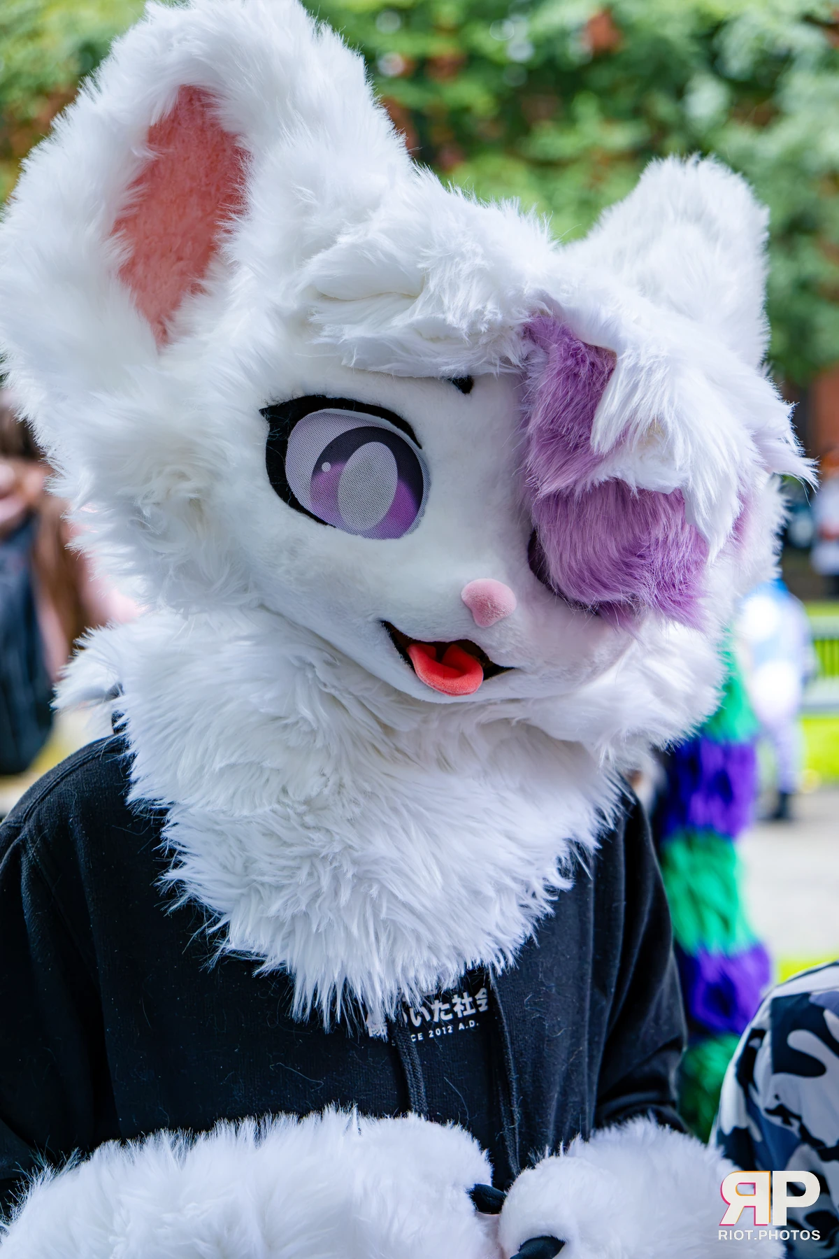 MancFurs - October, 2026 - 10 Oct 2026, Fluffy Riot photography - photo 23