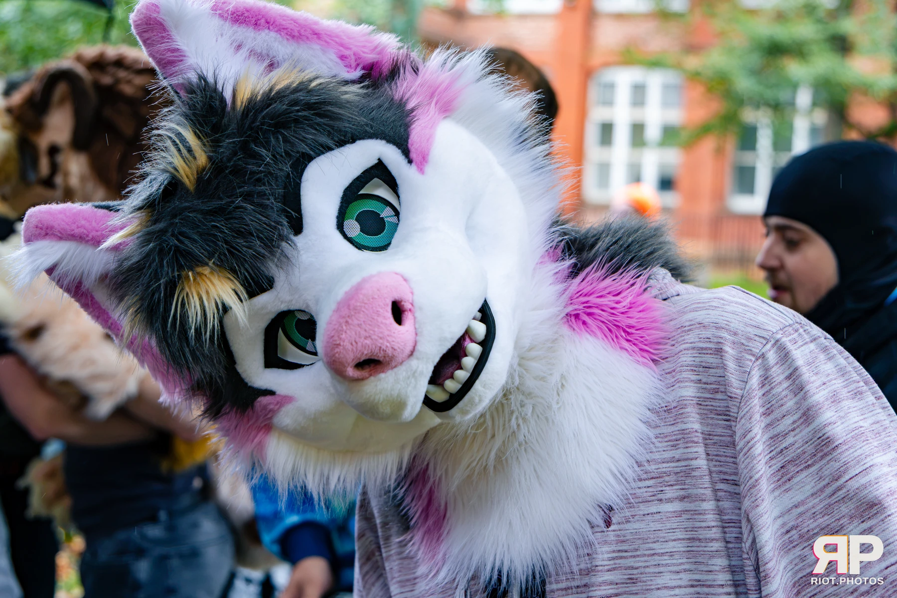 MancFurs - October, 2026 - 10 Oct 2026, Fluffy Riot photography - photo 19