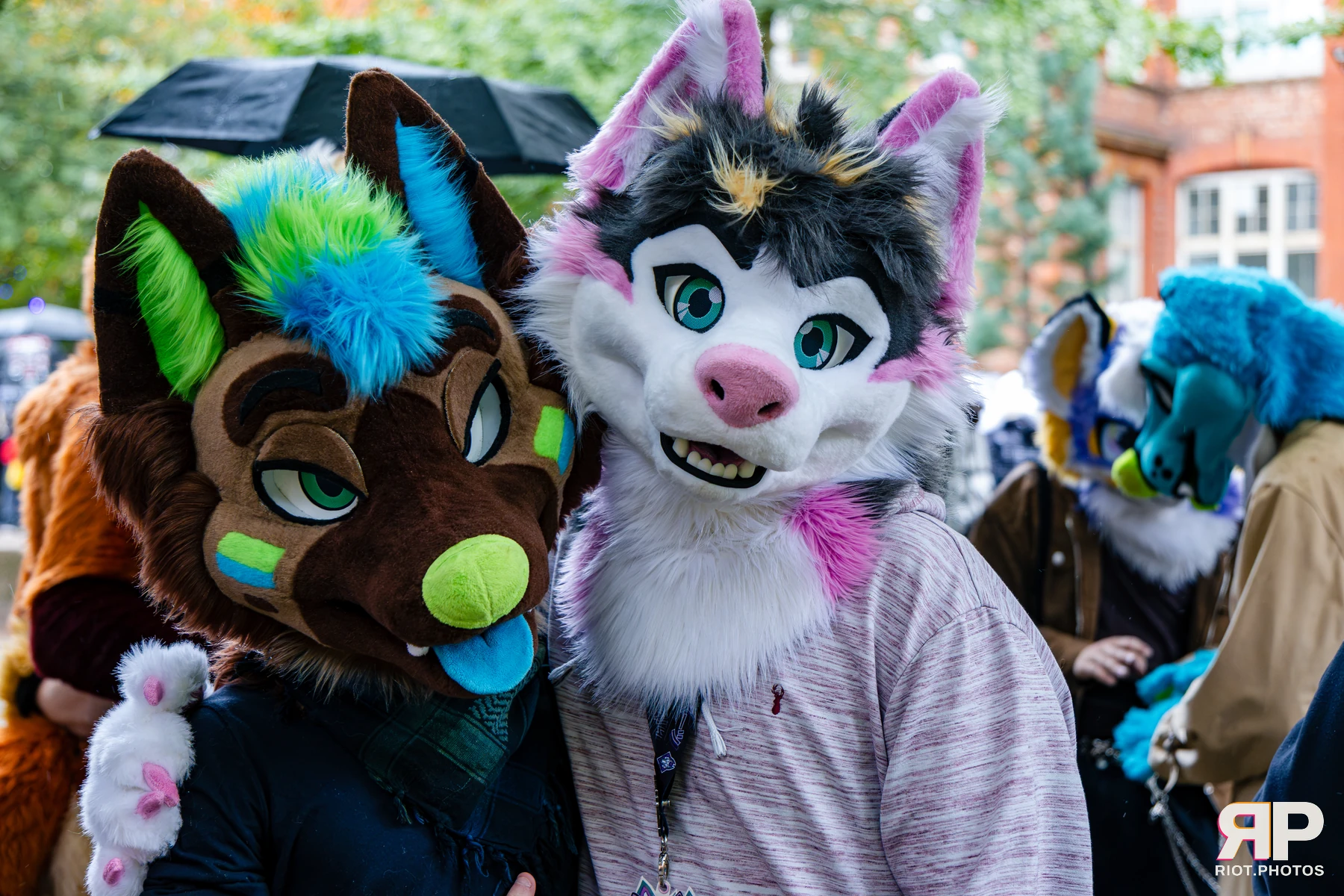 MancFurs - October, 2026 - 10 Oct 2026, Fluffy Riot photography - photo 17