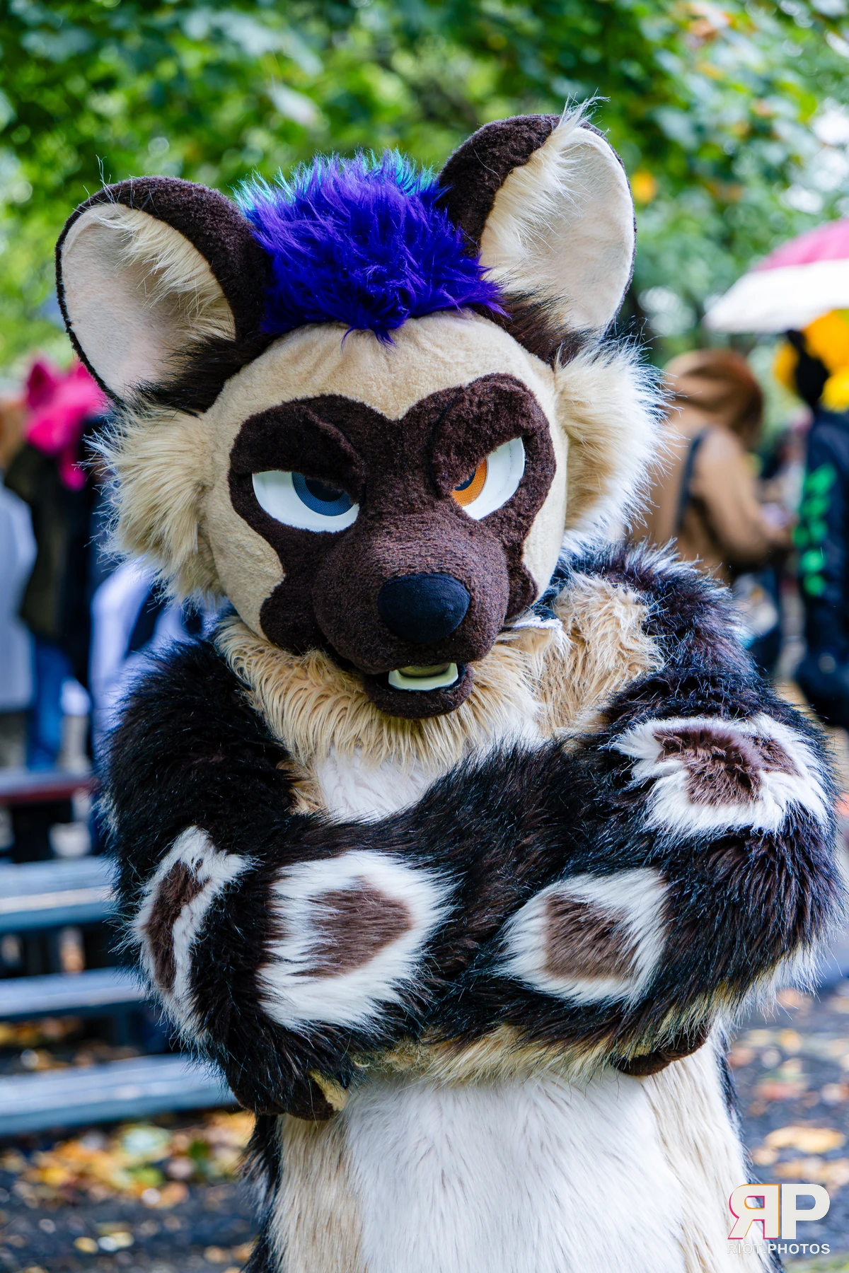 MancFurs - October, 2026 - 10 Oct 2026, Fluffy Riot photography - photo 16