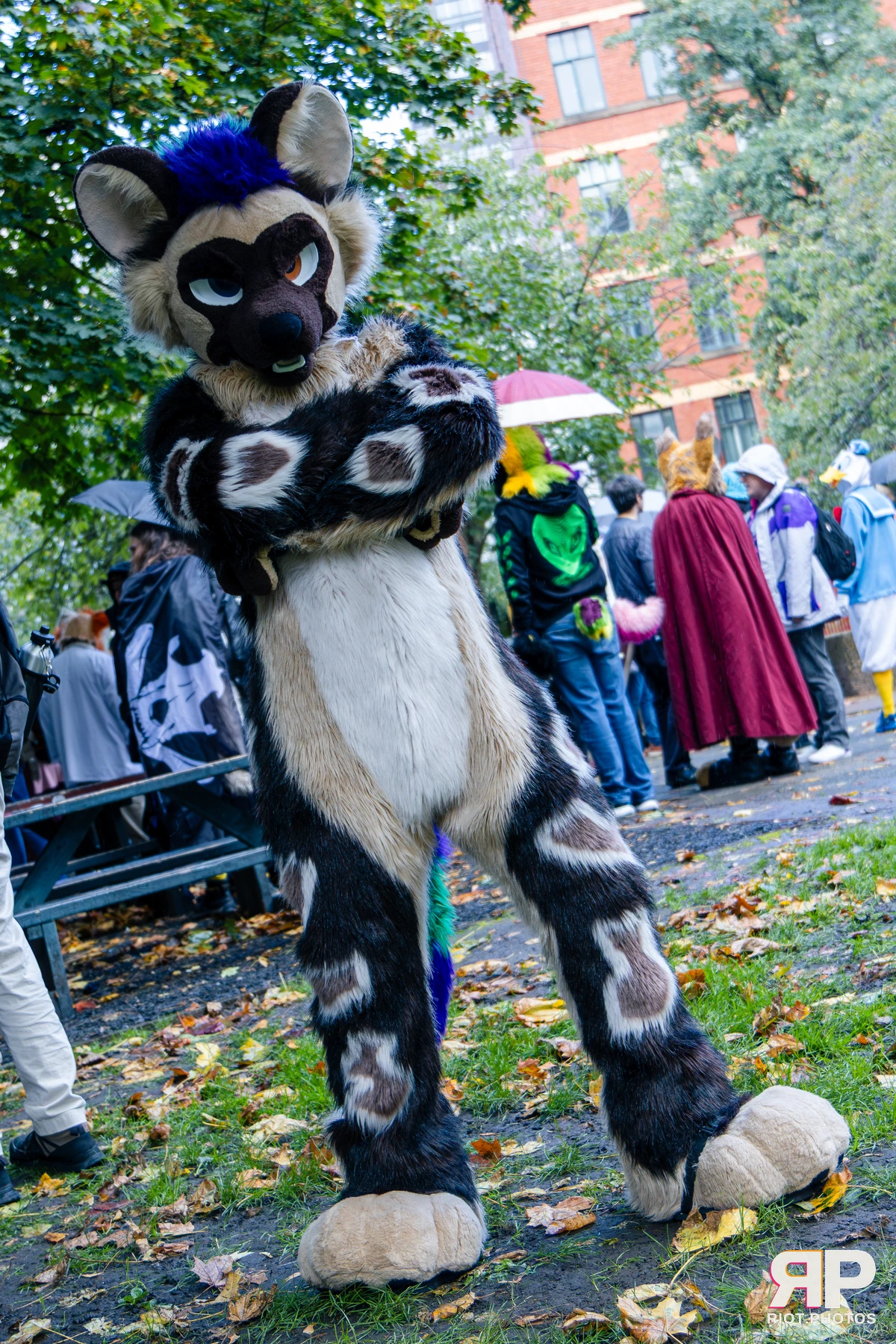 MancFurs - October, 2026 - 10 Oct 2026, Fluffy Riot photography - photo 15