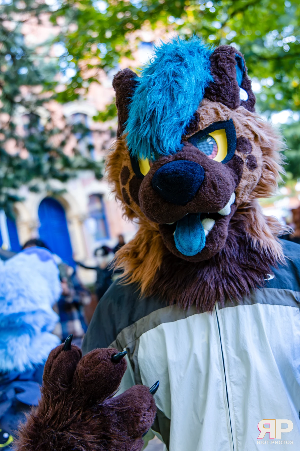 MancFurs - October, 2026 - 10 Oct 2026, Fluffy Riot photography - photo 14