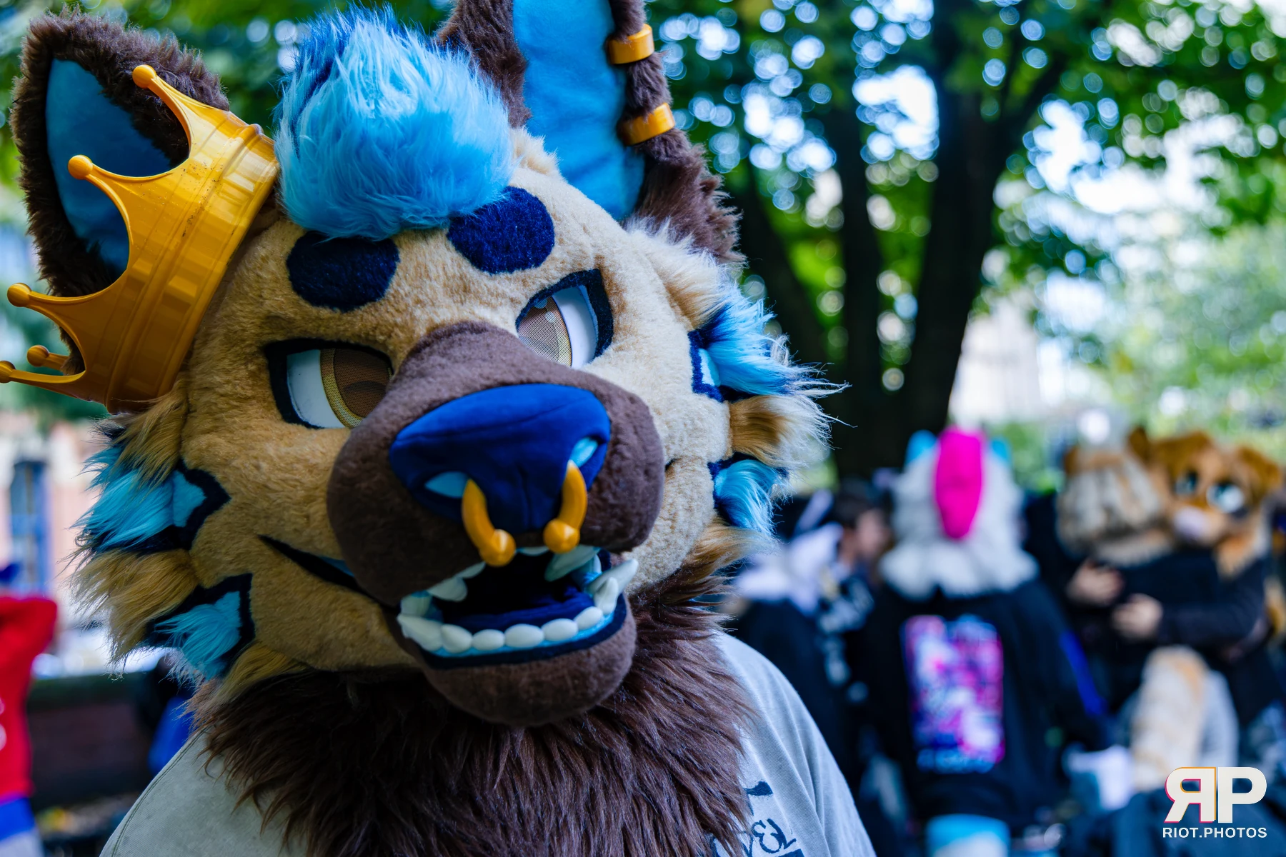 MancFurs - October, 2026 - 10 Oct 2026, Fluffy Riot photography - photo 13