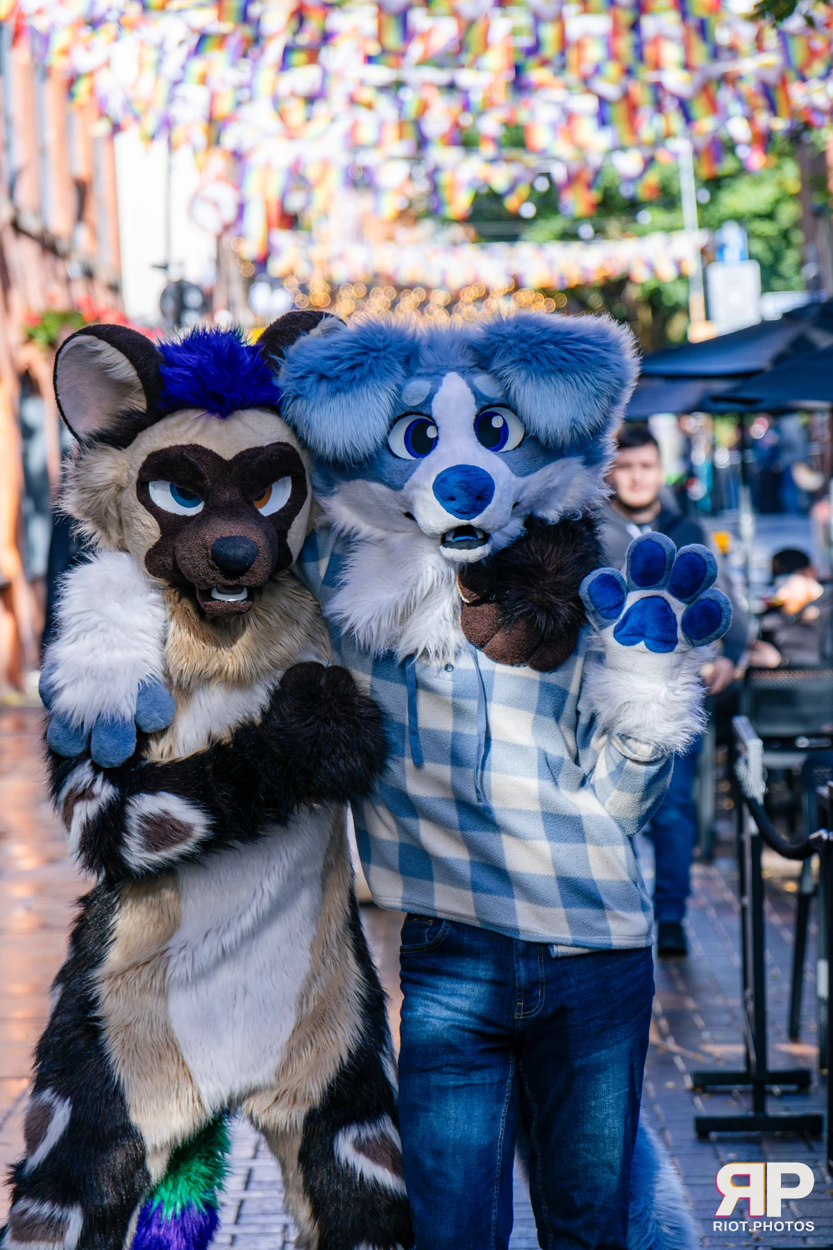 MancFurs - October, 2026 - 10 Oct 2026, Fluffy Riot photography - photo 10