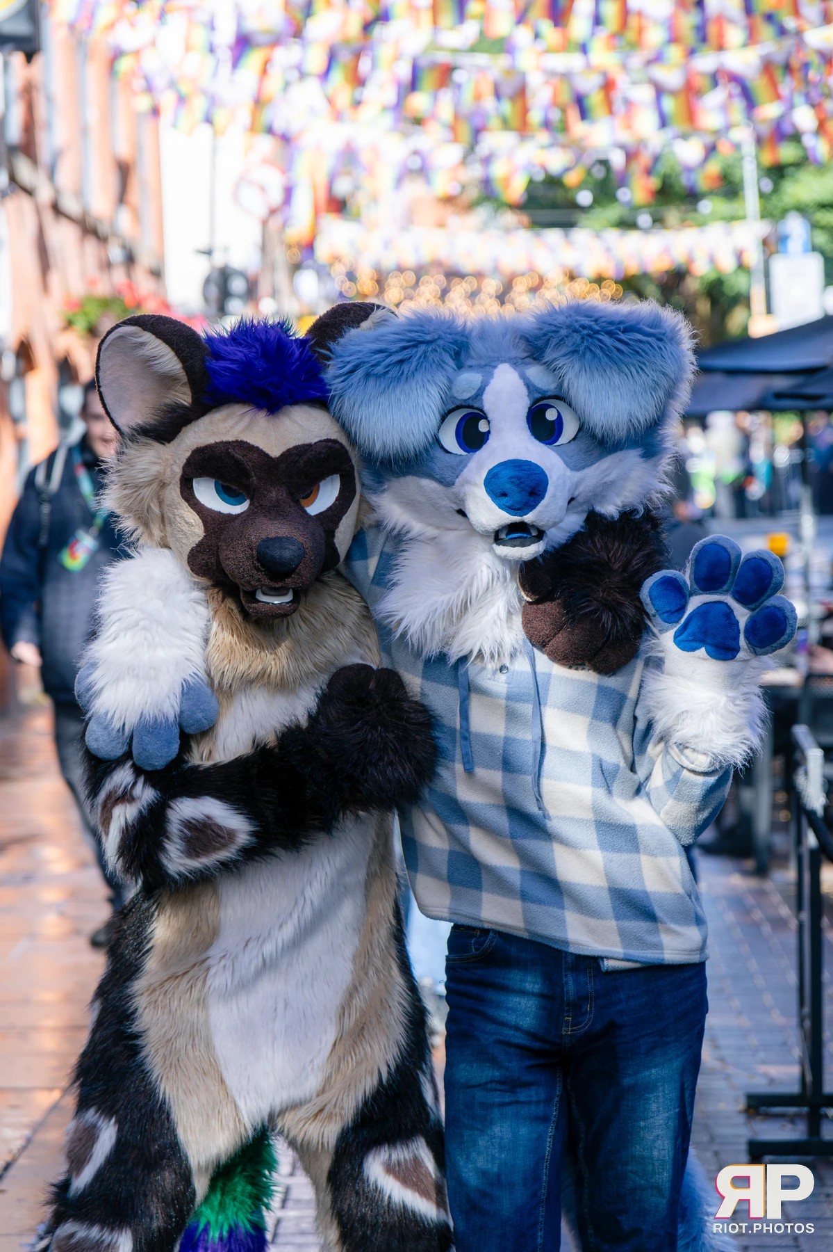MancFurs - October, 2026 - 10 Oct 2026, Fluffy Riot photography - photo 9