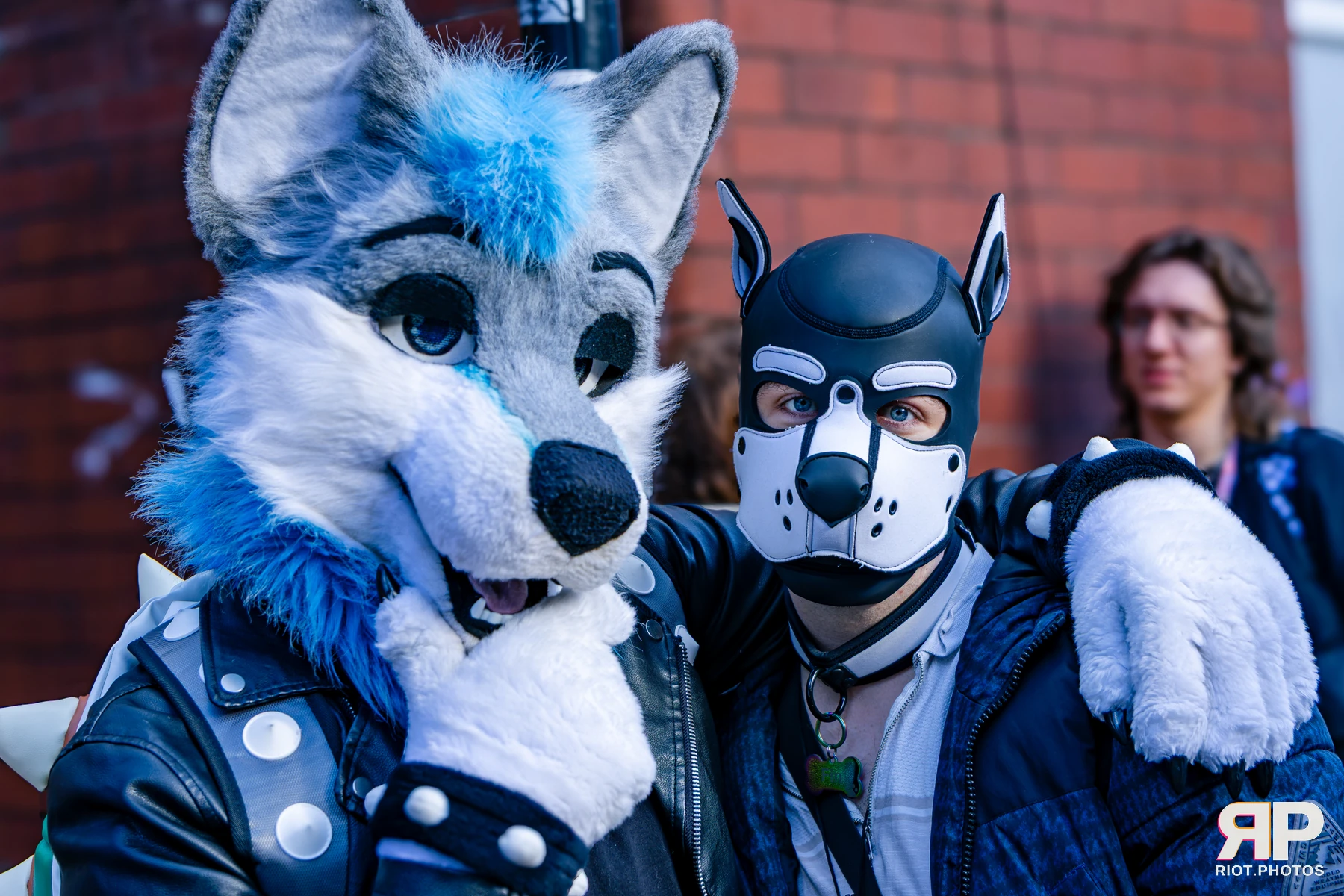 MancFurs - October, 2026 - 10 Oct 2026, Fluffy Riot photography - photo 5