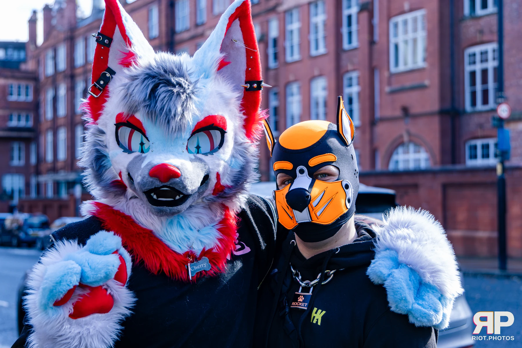 MancFurs - October, 2026 - 10 Oct 2026, Fluffy Riot photography - photo 4