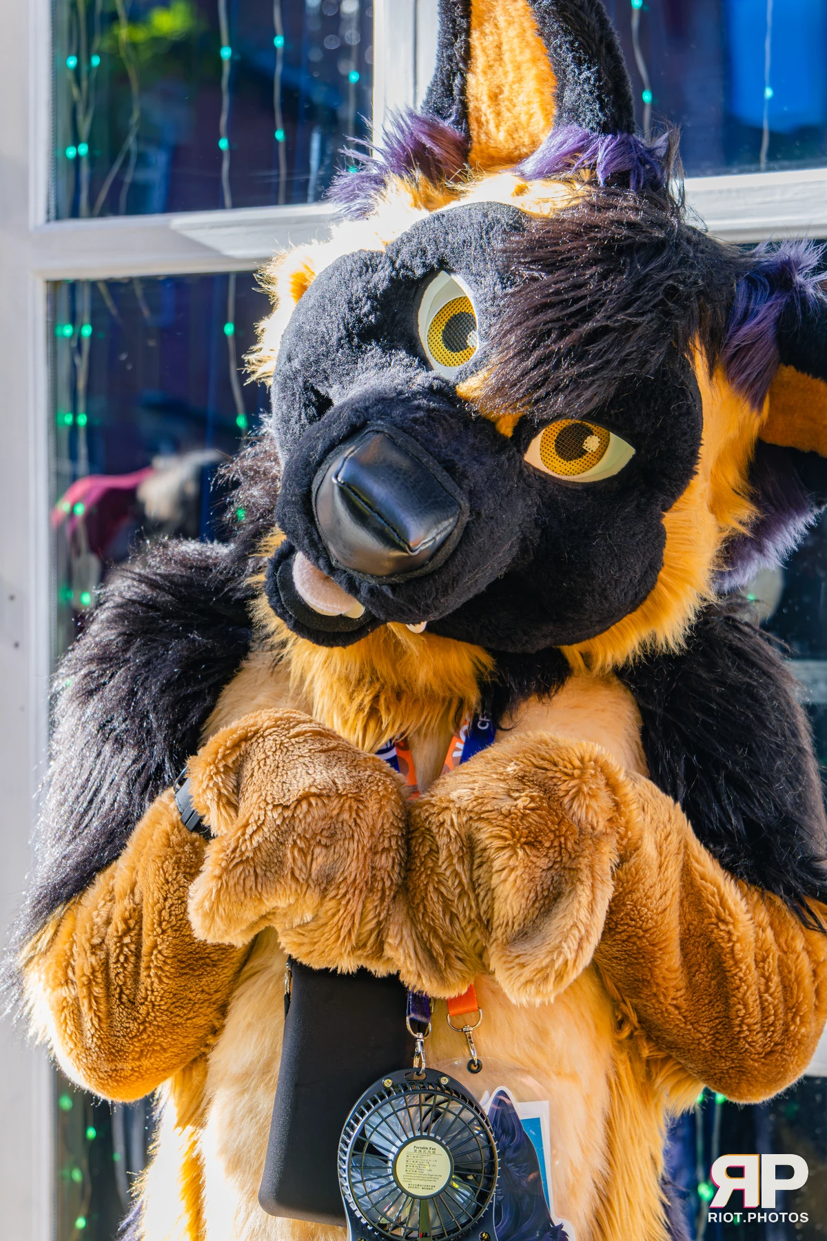 MancFurs - October, 2026 - 10 Oct 2026, Fluffy Riot photography - photo 3