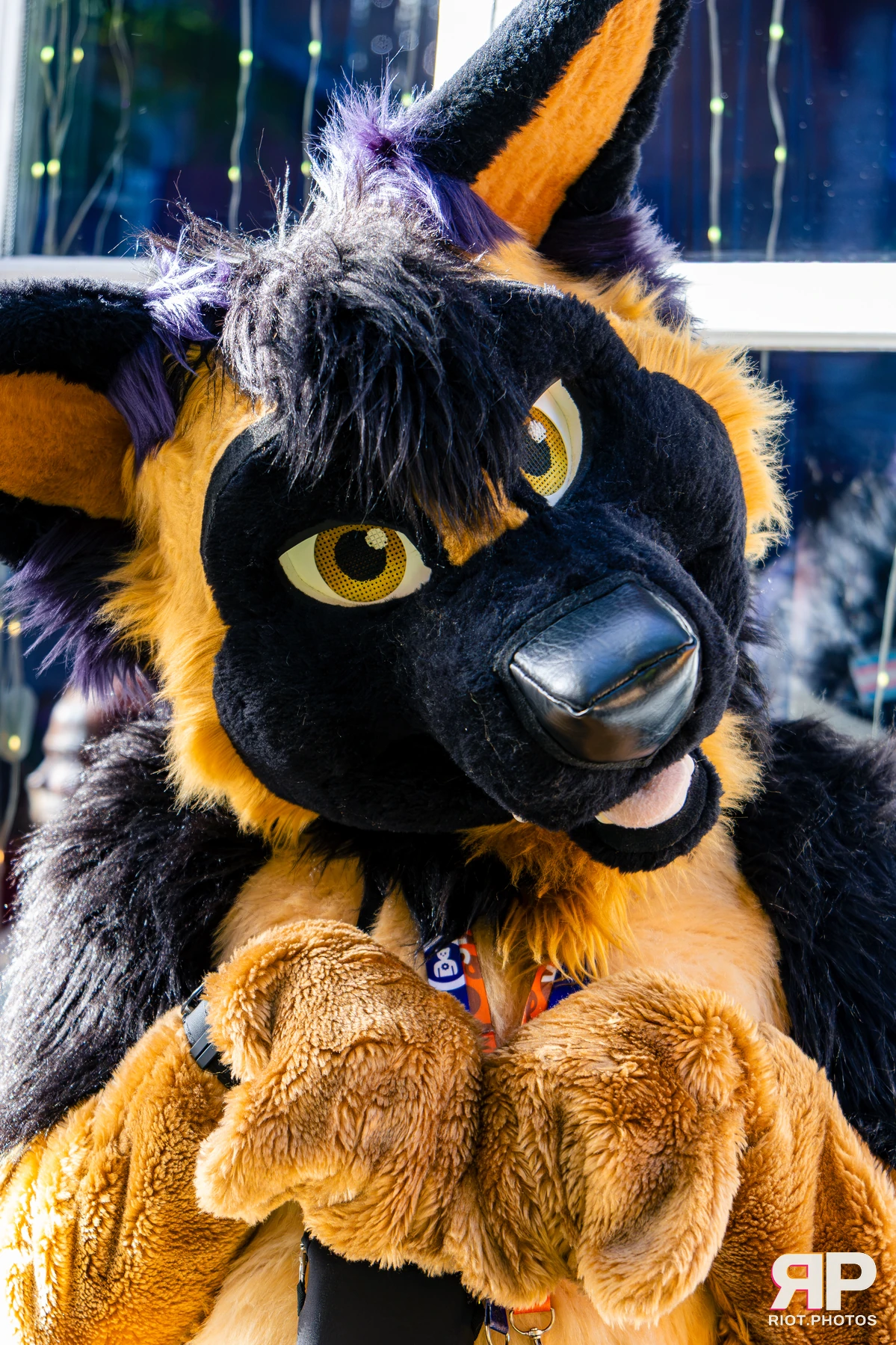 MancFurs - October, 2026 - 10 Oct 2026, Fluffy Riot photography - photo 2