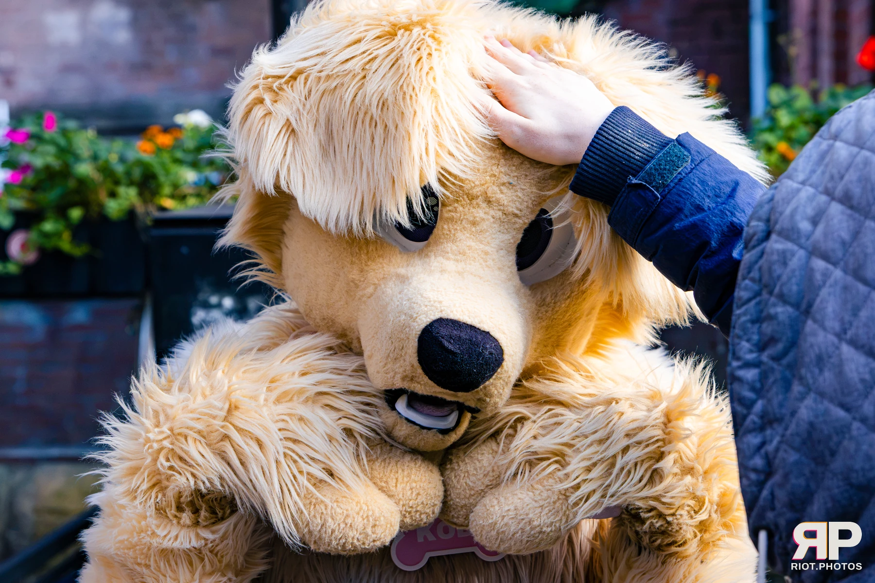 MancFurs - October, 2026 - 10 Oct 2026, Fluffy Riot photography - photo 1
