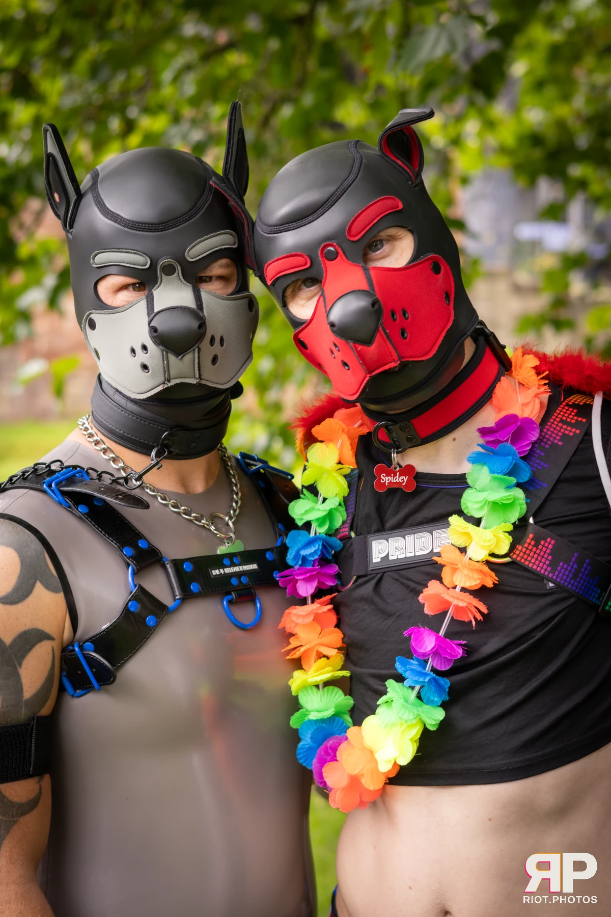 Pup Nathan — furry & pup photography by Fluffy Riot — photo 199