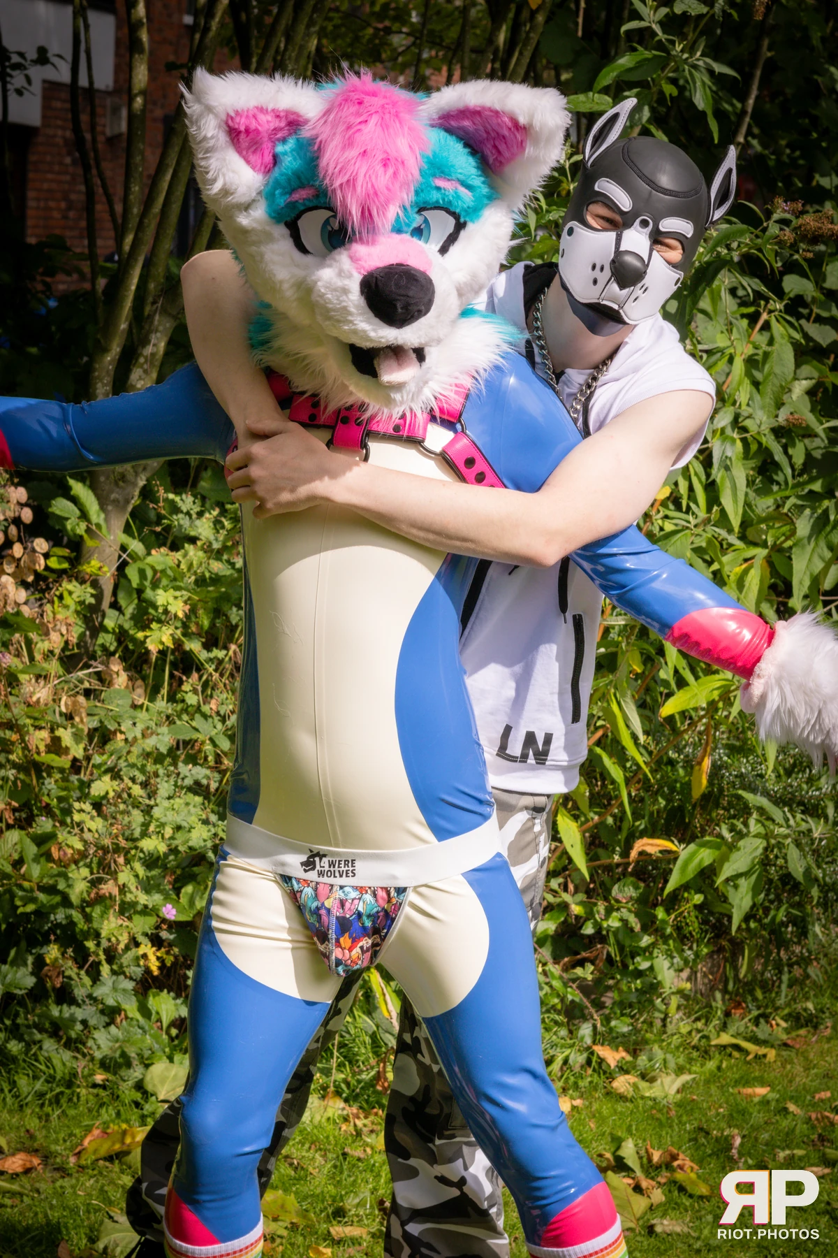 Pup Kaz — furry & pup photography by Fluffy Riot — photo 565