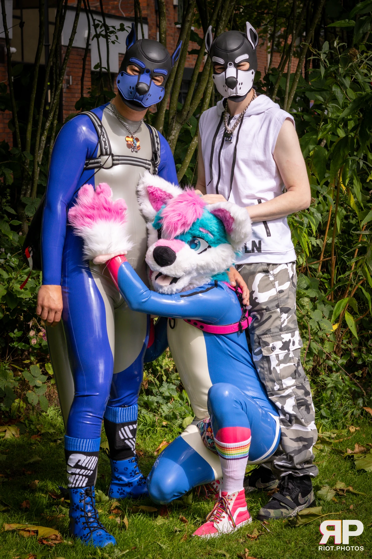 Pup Kaz — furry & pup photography by Fluffy Riot — photo 566