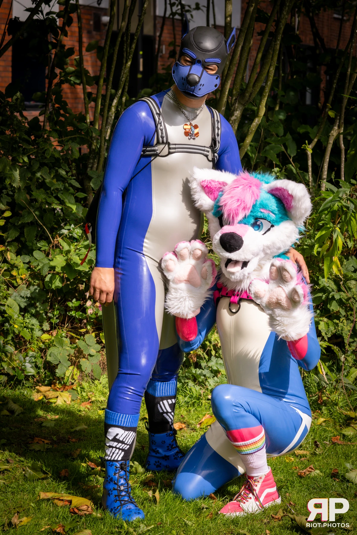 Pup Kaz — furry & pup photography by Fluffy Riot — photo 567