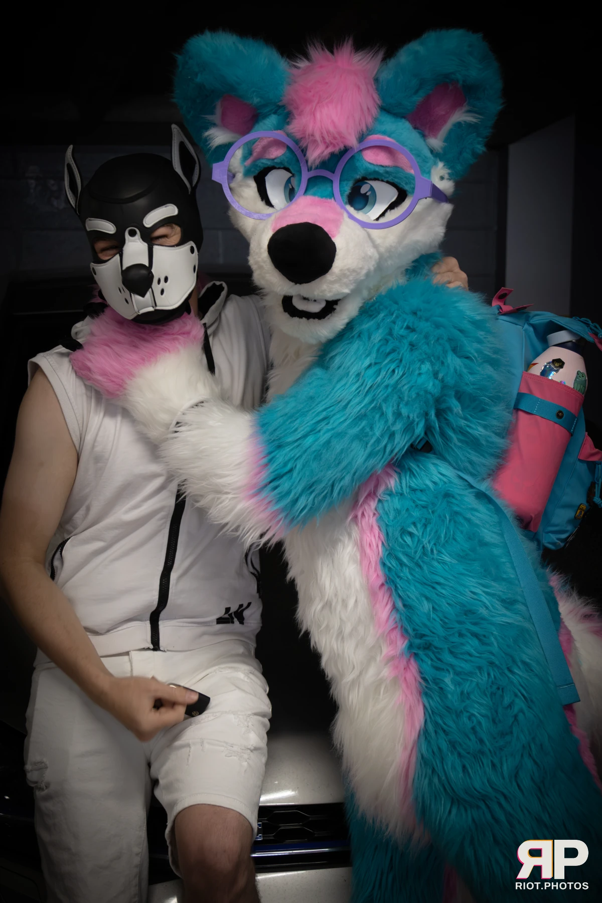 Pup Kaz — furry & pup photography by Fluffy Riot — photo 360