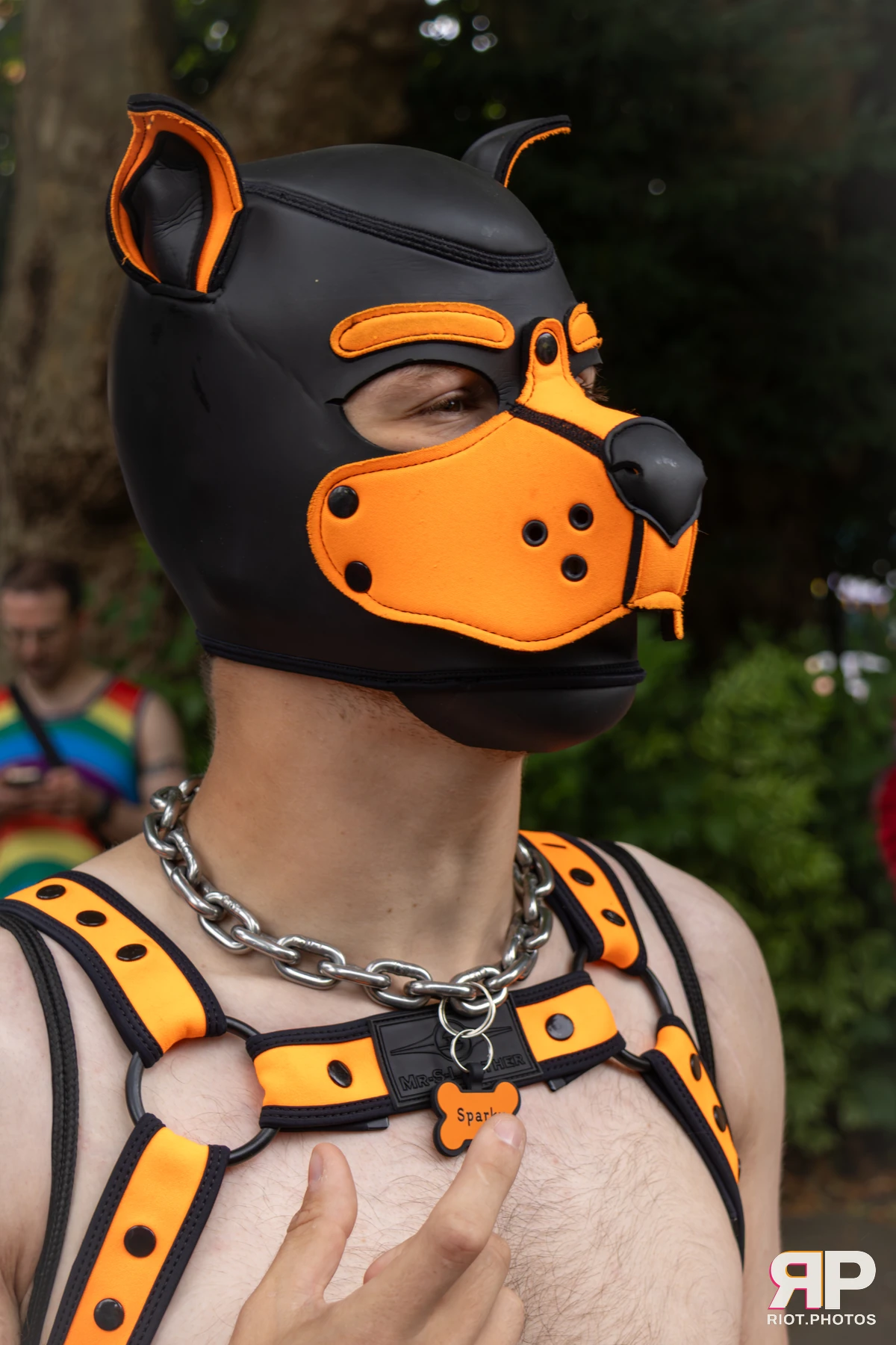 Pup Sparky — furry & pup photography by Fluffy Riot — photo 4