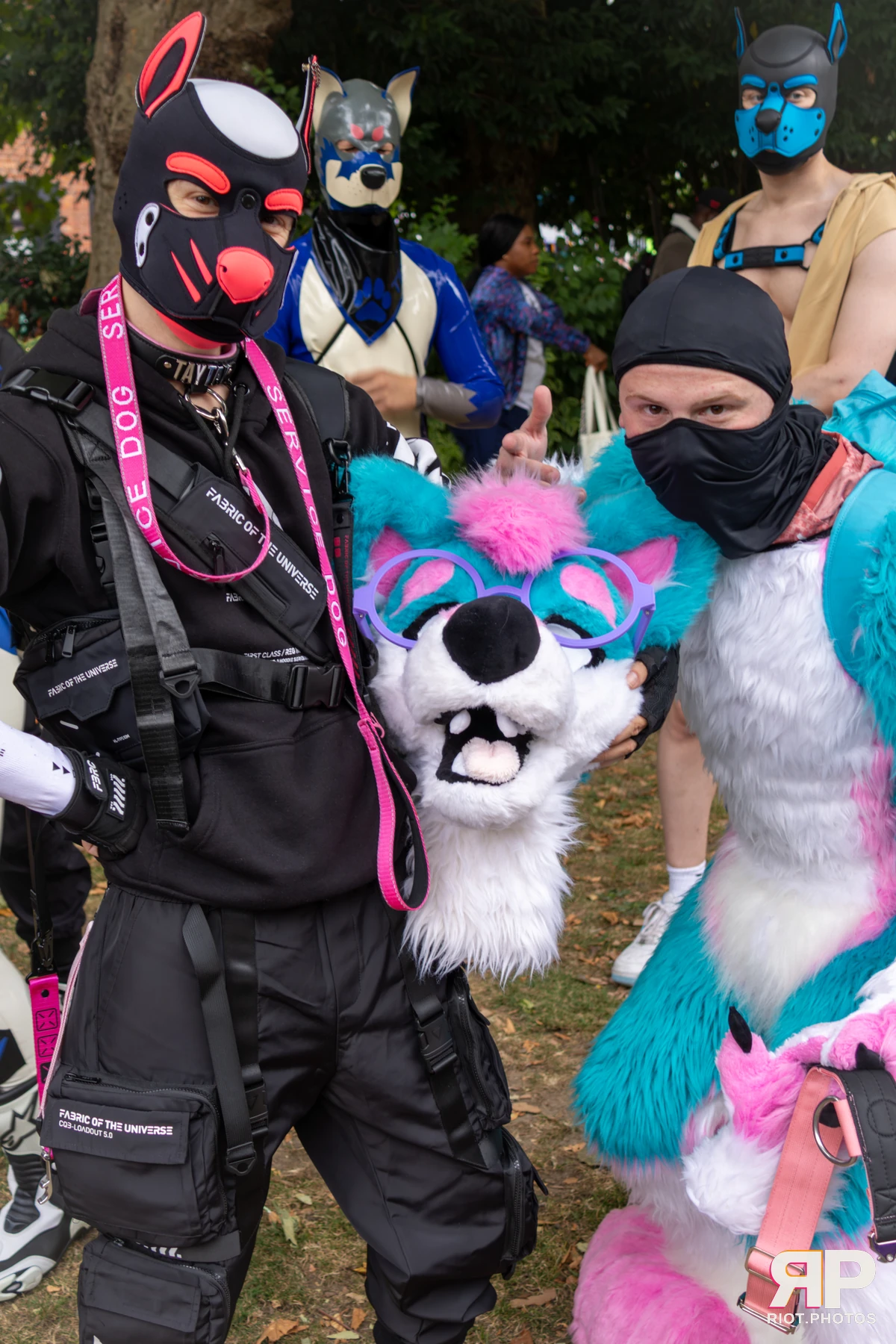 Pup TayTay — furry & pup photography by Fluffy Riot — photo 7