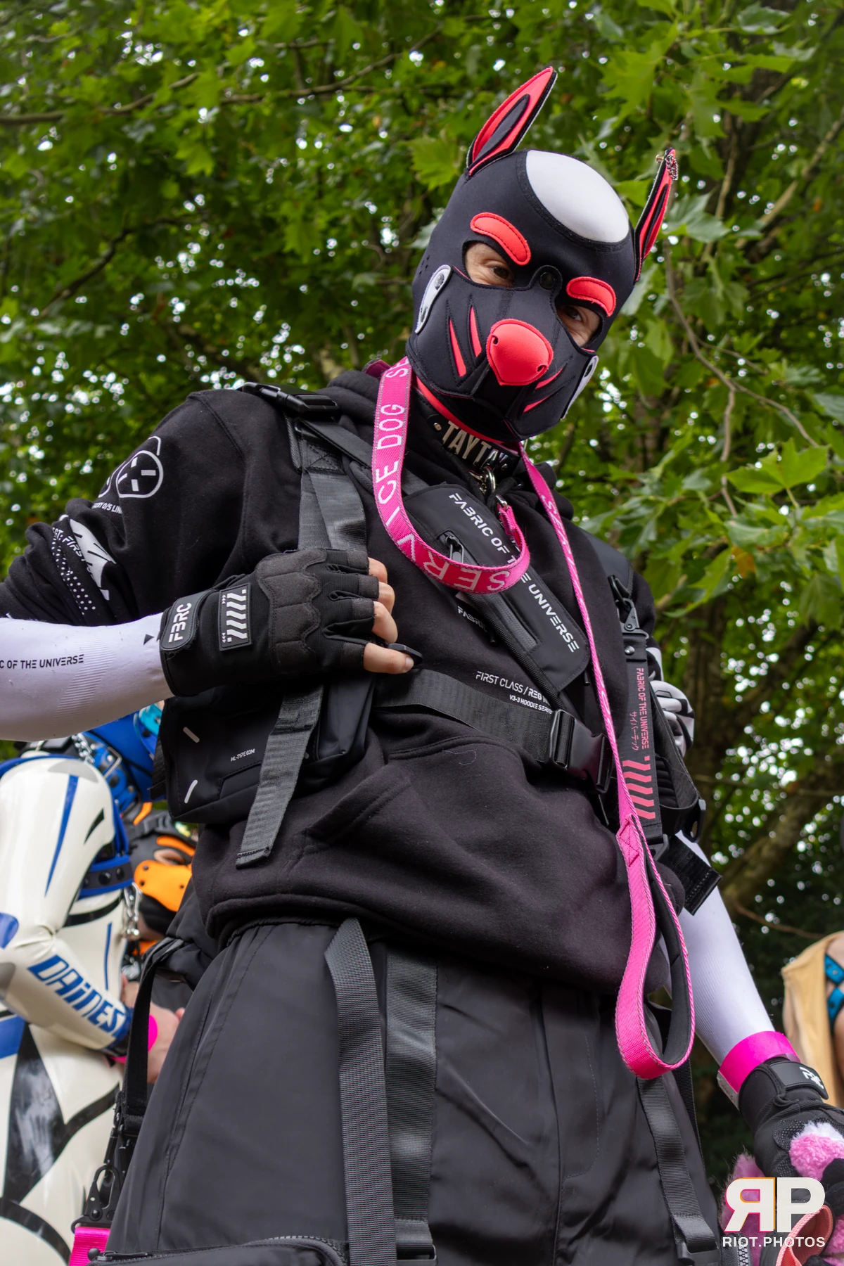 Pup TayTay — furry & pup photography by Fluffy Riot — photo 8