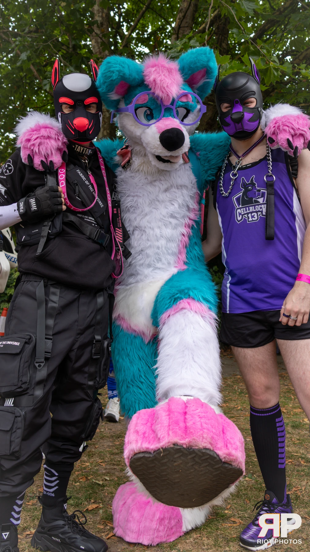 Pup TayTay — furry & pup photography by Fluffy Riot — photo 10