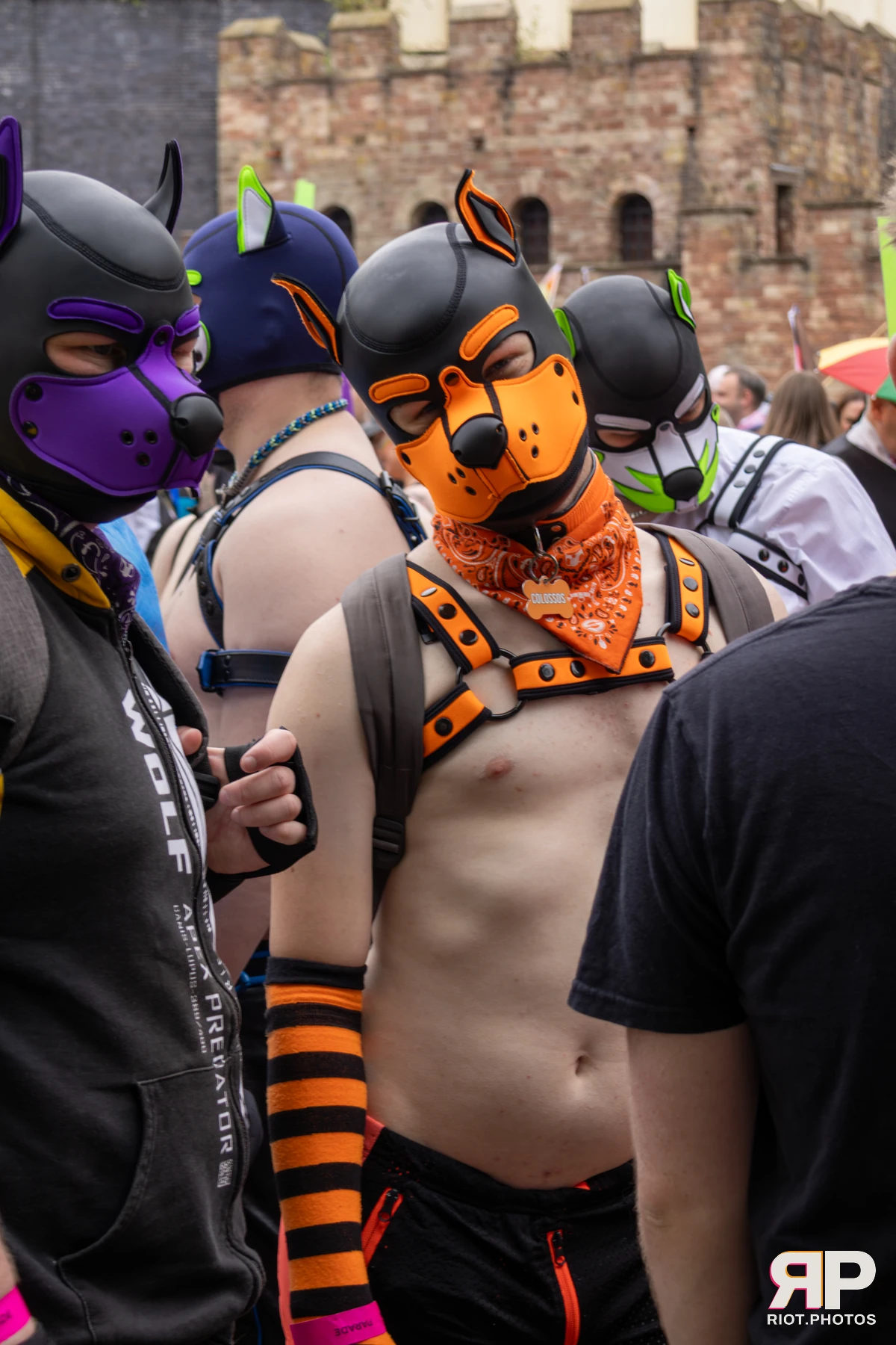 Pup Colossos — furry & pup photography by Fluffy Riot — photo 135