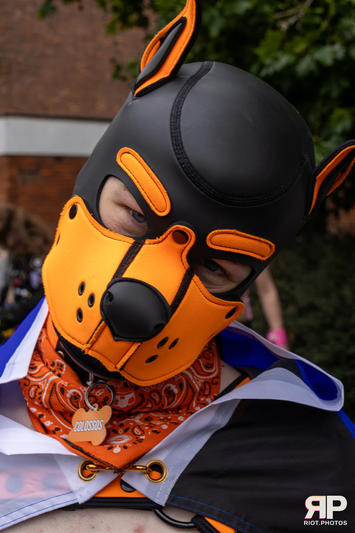 Pup Colossos — furry & pup photography by Fluffy Riot — photo 136