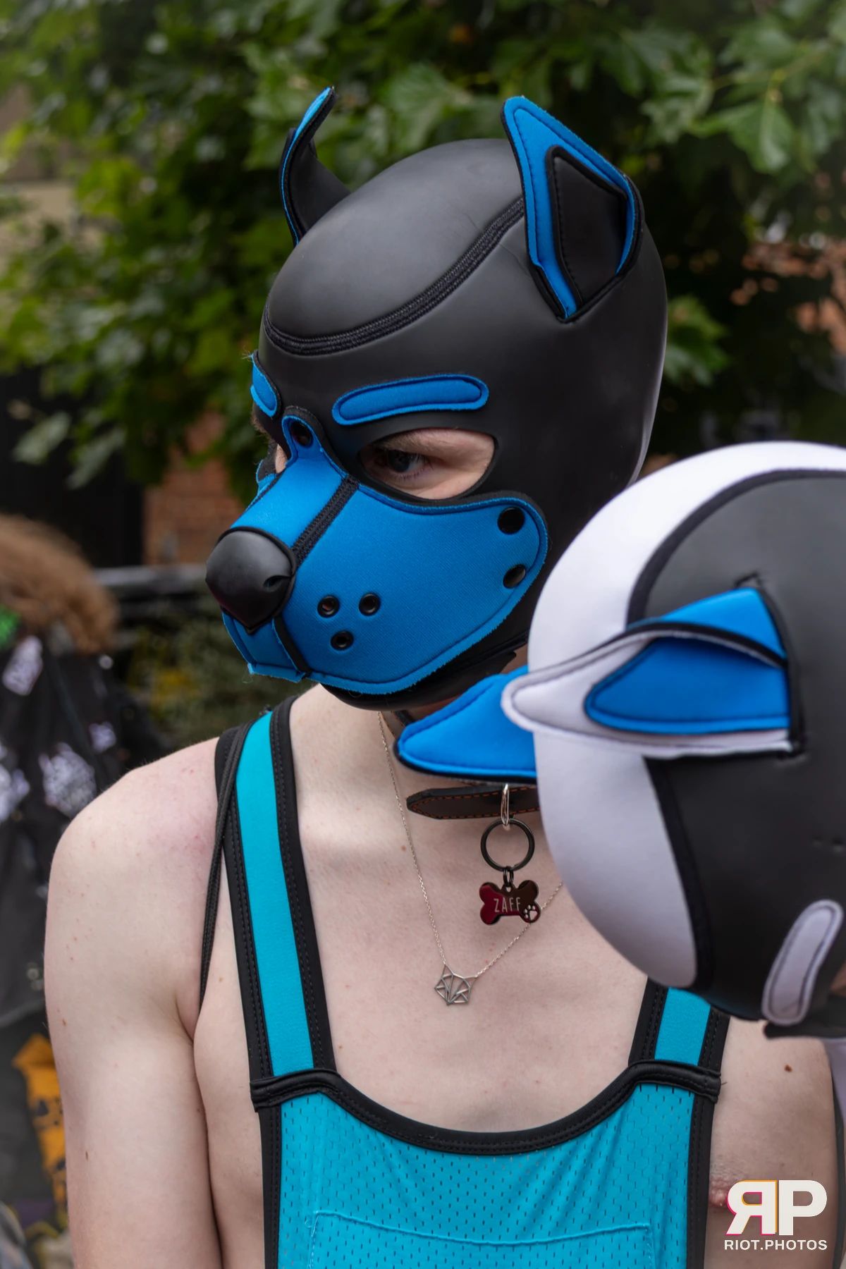Zaff — furry & pup photography by Fluffy Riot — photo 74