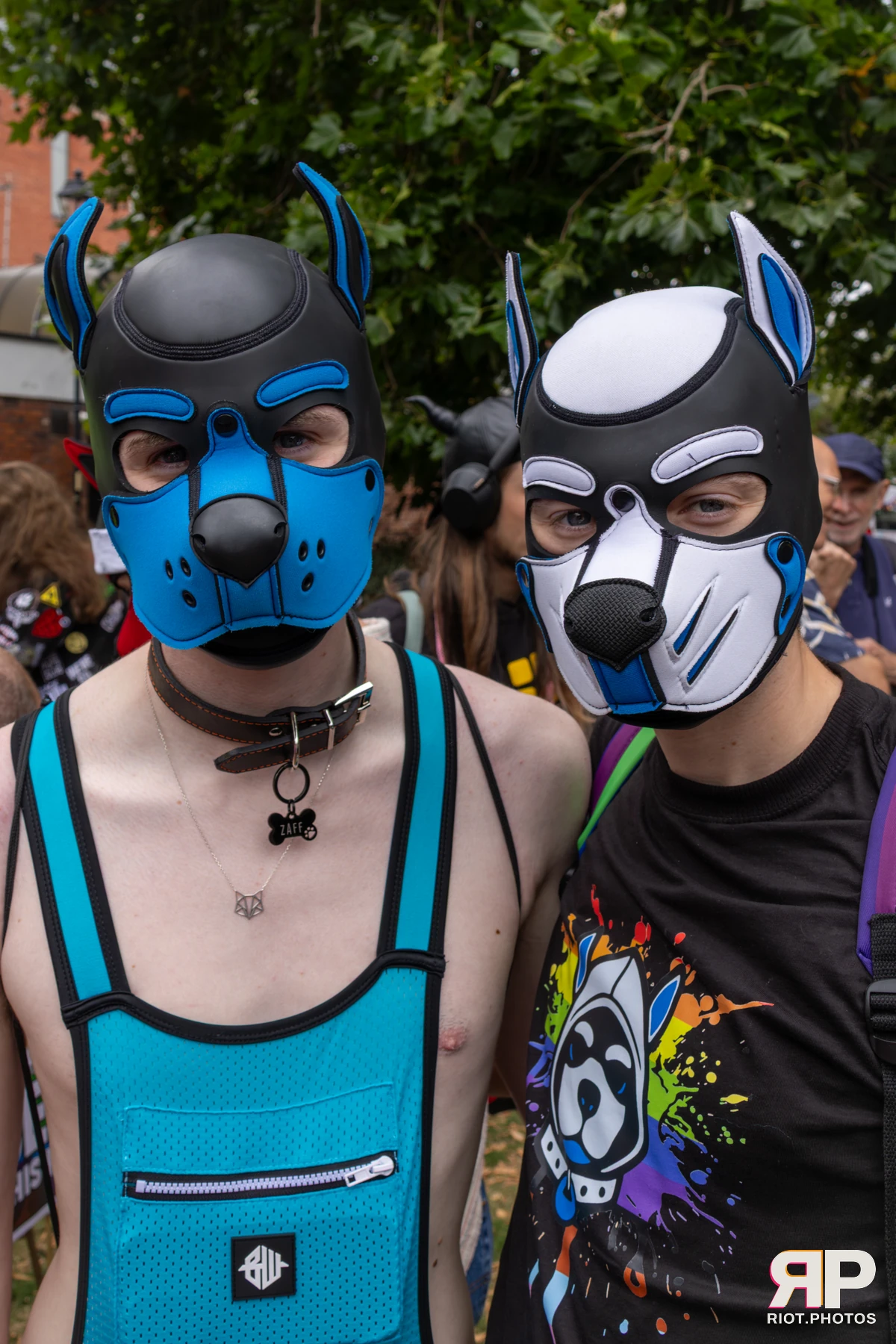 Zaff — furry & pup photography by Fluffy Riot — photo 76