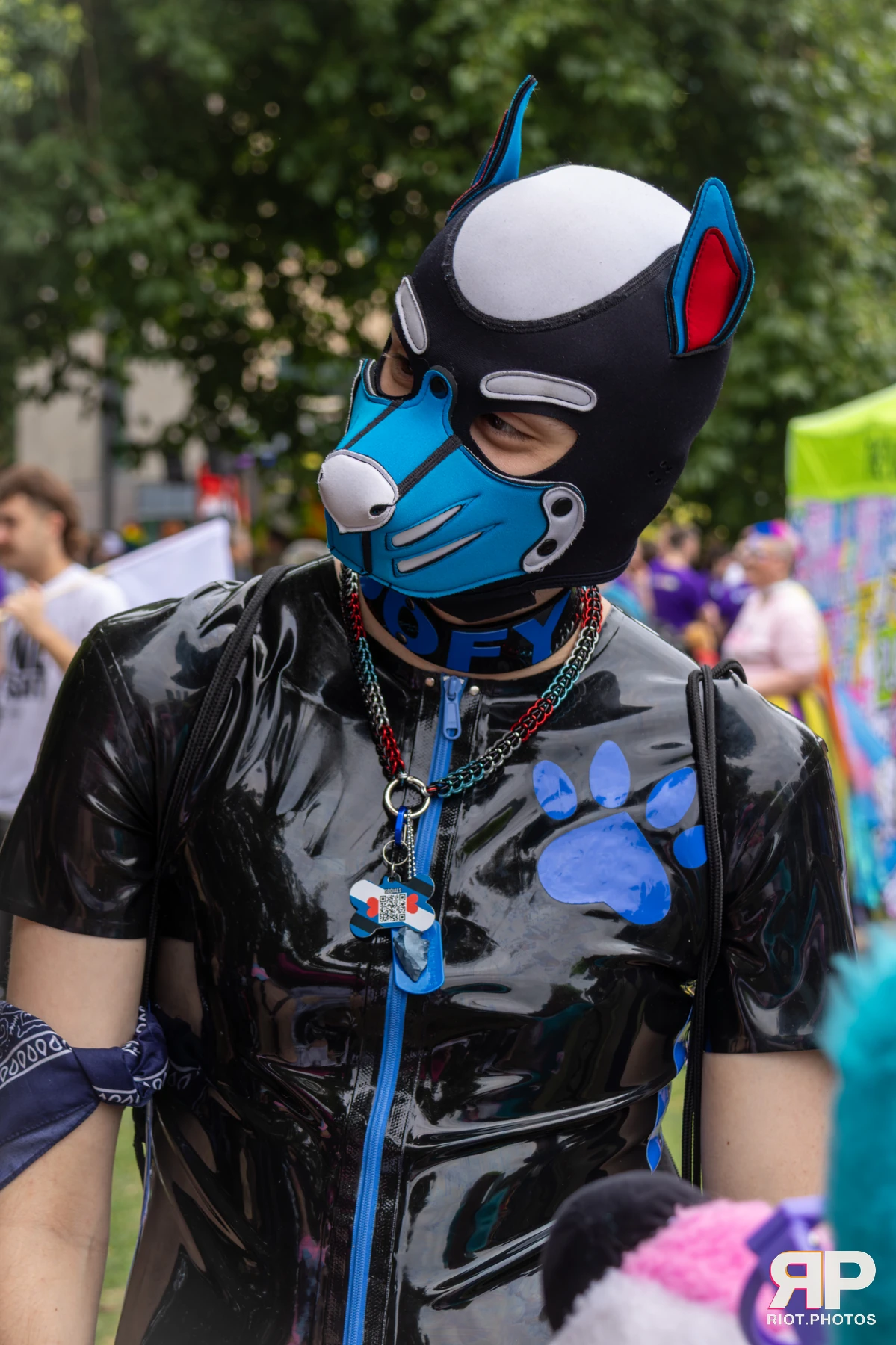 Pup Goofy — furry & pup photography by Fluffy Riot — photo 8