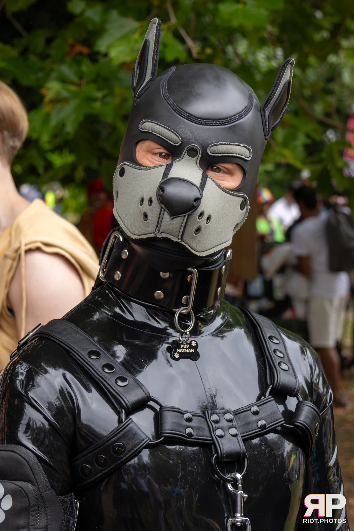 Pup Nathan — furry & pup photography by Fluffy Riot — photo 60