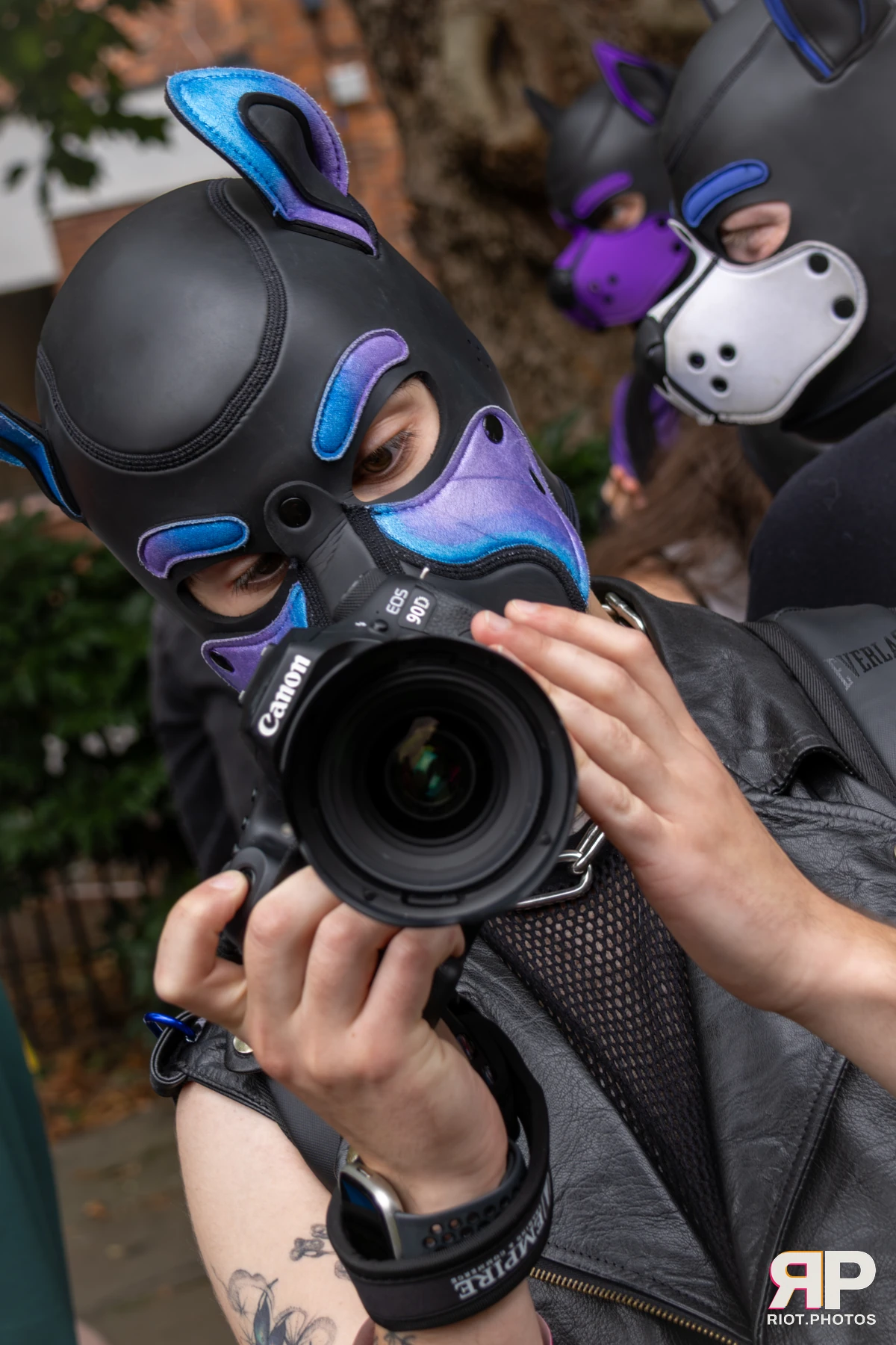 Pup Bismuth — furry & pup photography by Fluffy Riot — photo 23