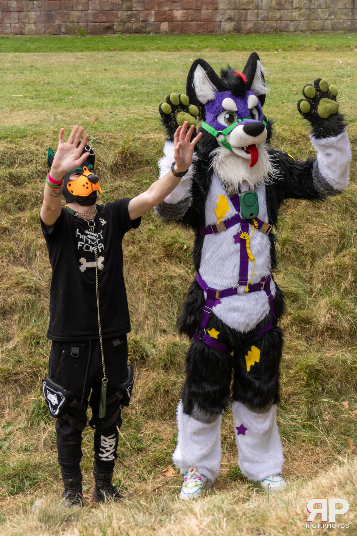 Pup Peanuts — furry & pup photography by Fluffy Riot — photo 11