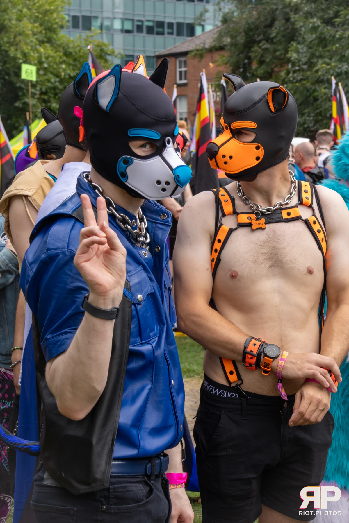 Hyper — furry & pup photography by Fluffy Riot — photo 40