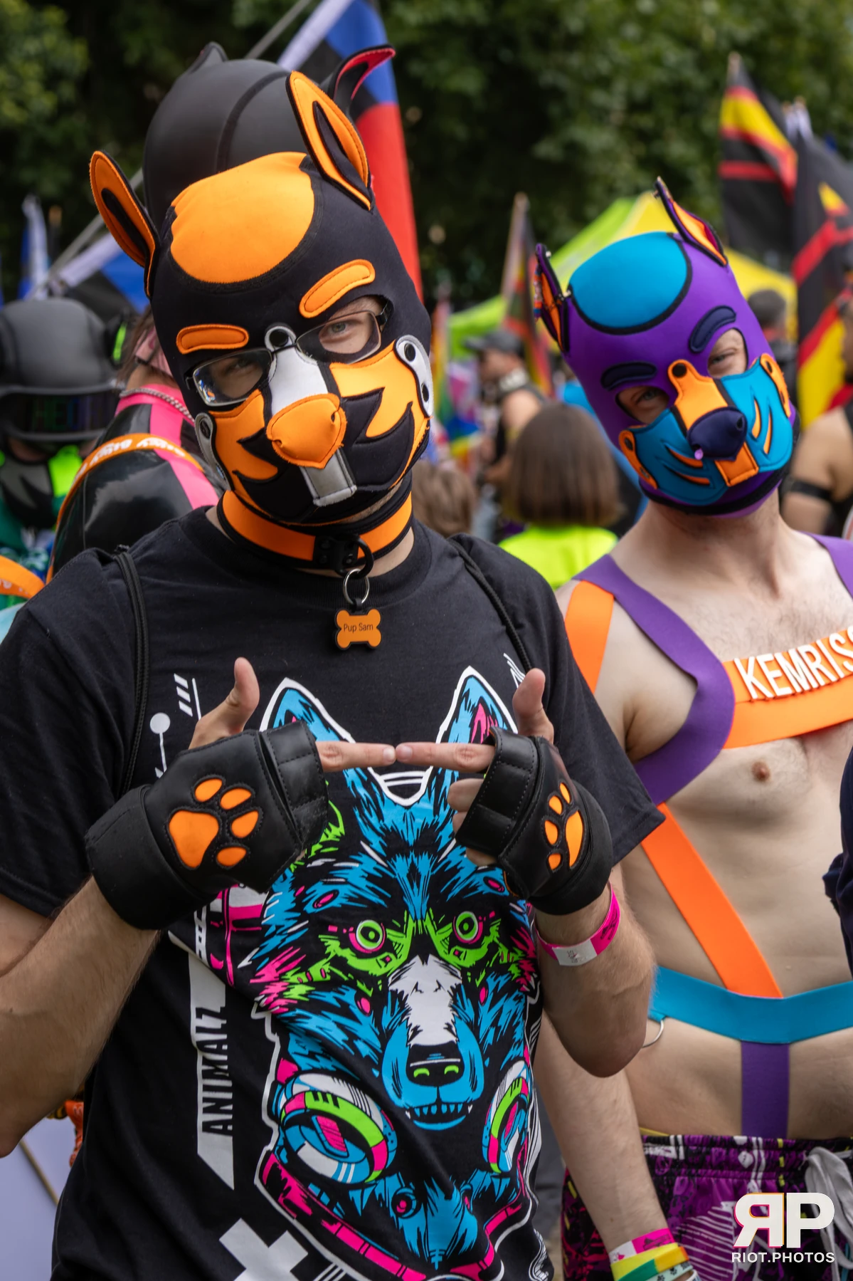 Pup Sam — furry & pup photography by Fluffy Riot — photo 1