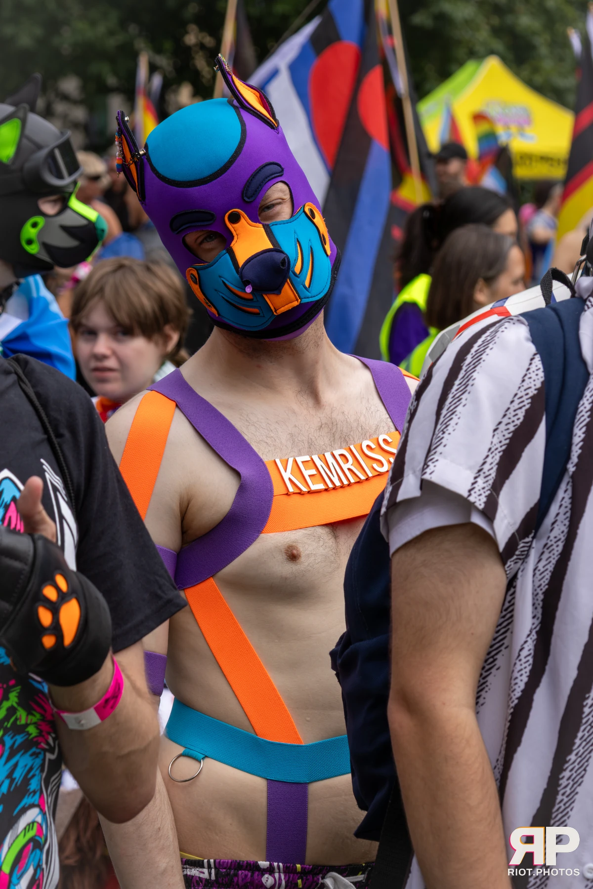 Kemriss — furry & pup photography by Fluffy Riot — photo 41