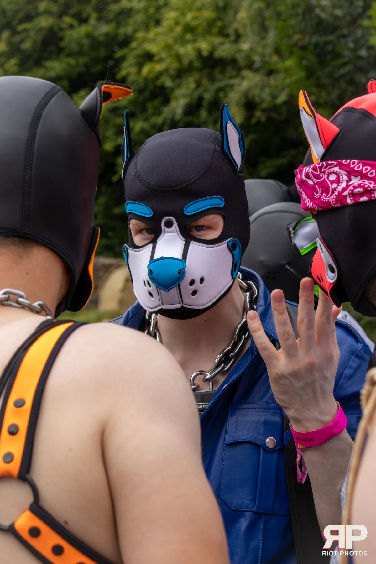 Hyper — furry & pup photography by Fluffy Riot — photo 41