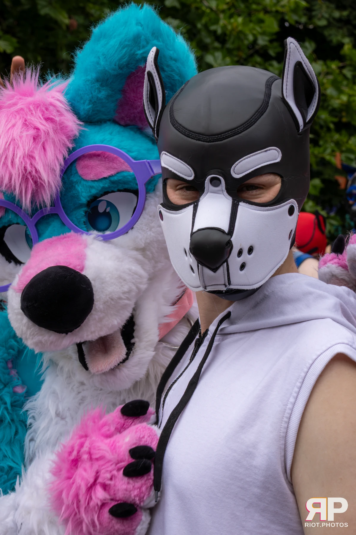 Pup Kaz — furry & pup photography by Fluffy Riot — photo 364