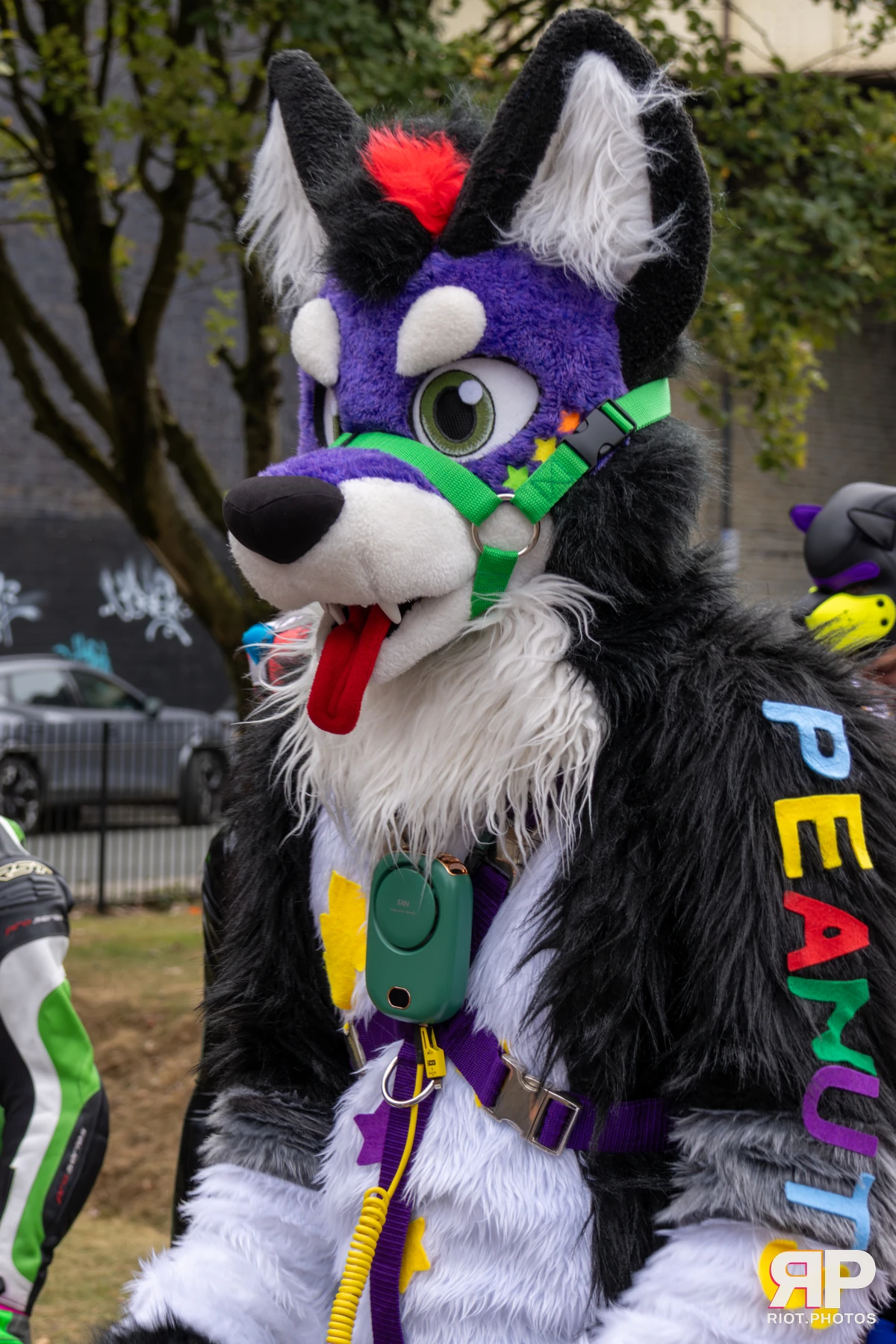 Pup Peanuts — furry & pup photography by Fluffy Riot — photo 13