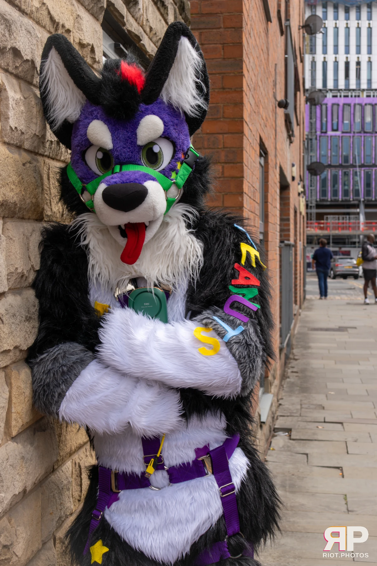 Pup Peanuts — furry & pup photography by Fluffy Riot — photo 14
