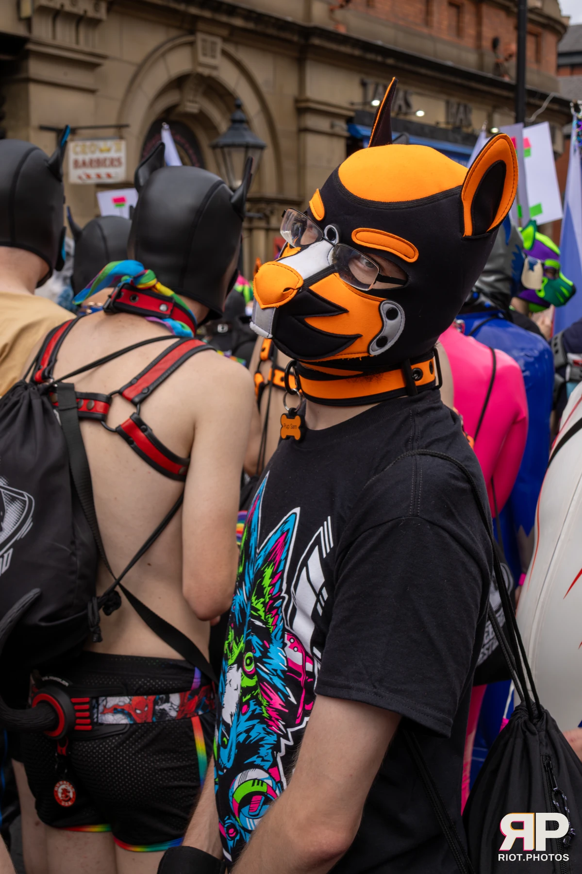 Pup Sam — furry & pup photography by Fluffy Riot — photo 2