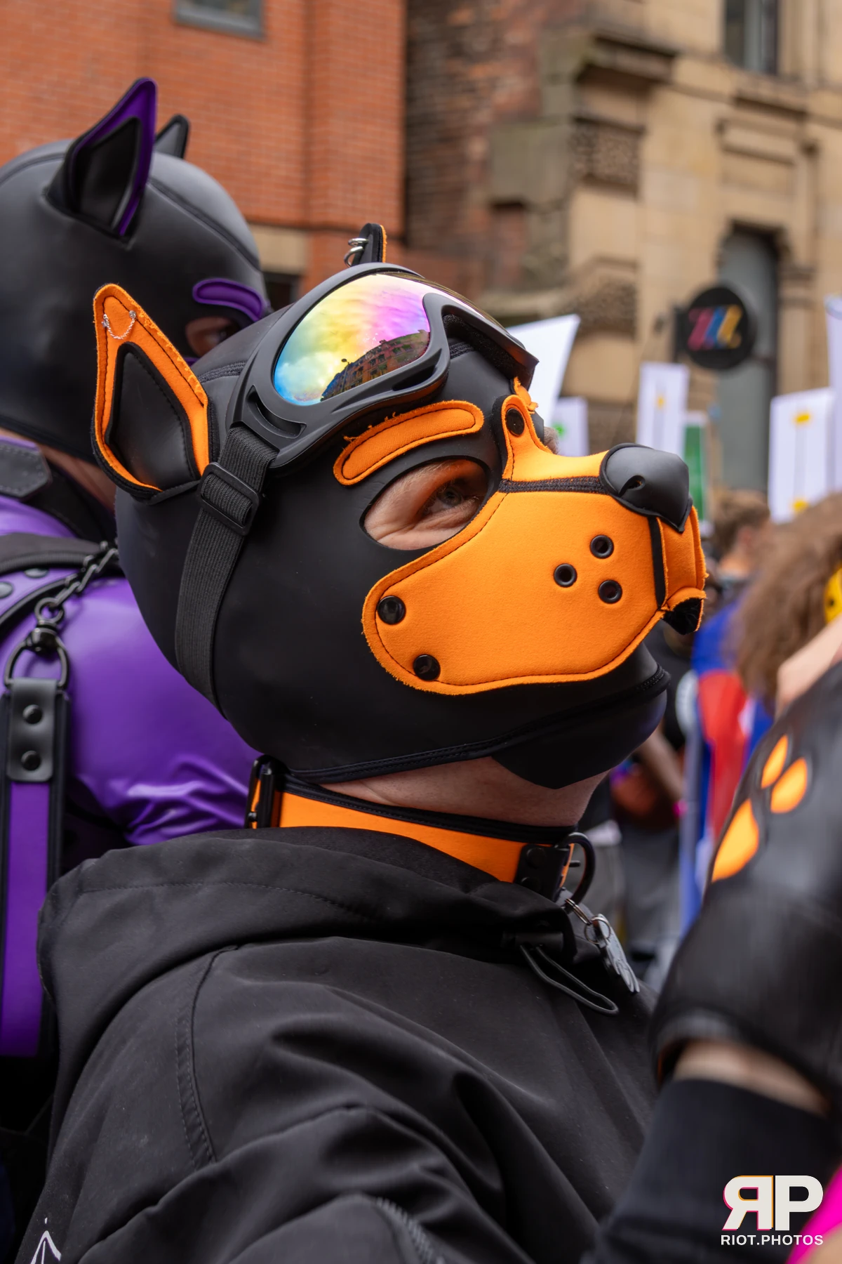 Pup Rocket — furry & pup photography by Fluffy Riot — photo 7