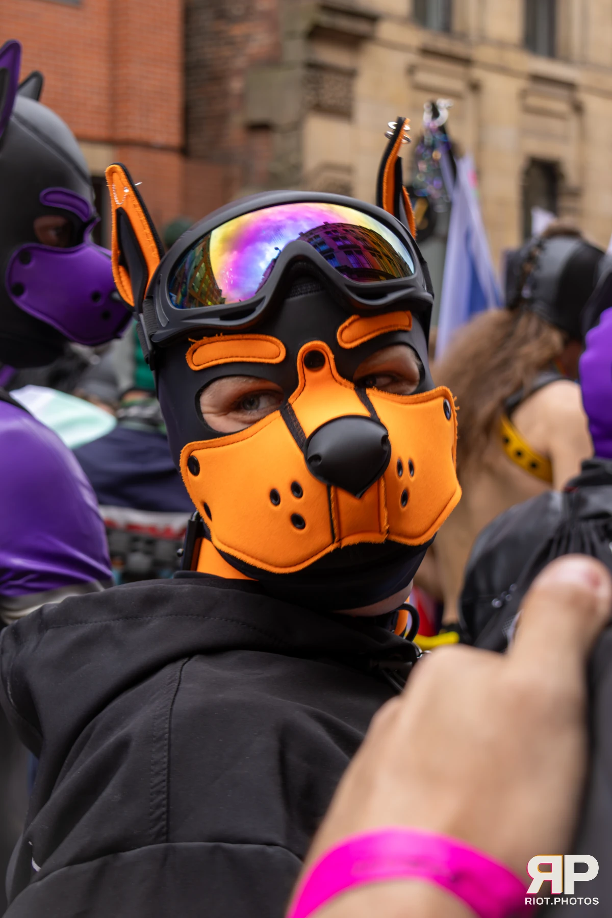 Pup Rocket — furry & pup photography by Fluffy Riot — photo 8