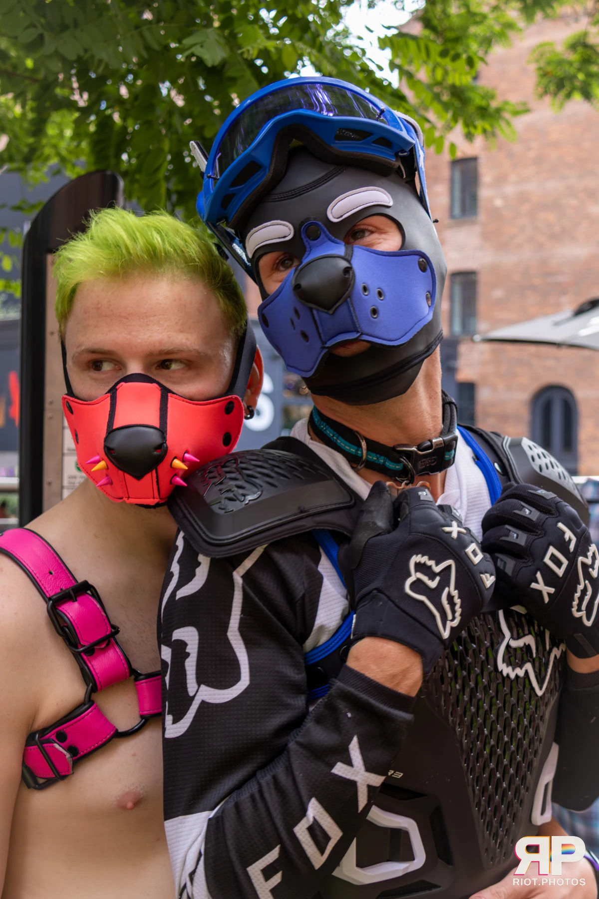 Kai Pup — furry & pup photography by Fluffy Riot — photo 14