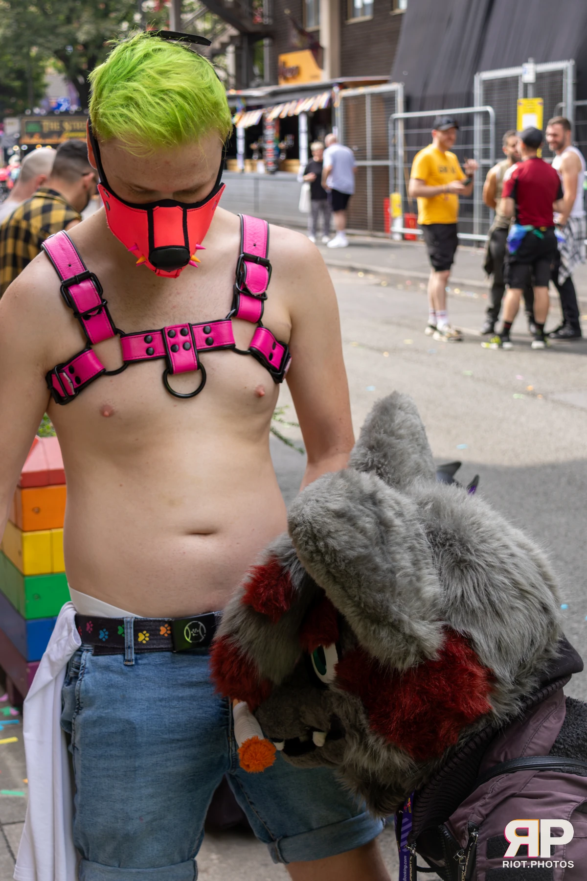Pup Kaz — furry & pup photography by Fluffy Riot — photo 371