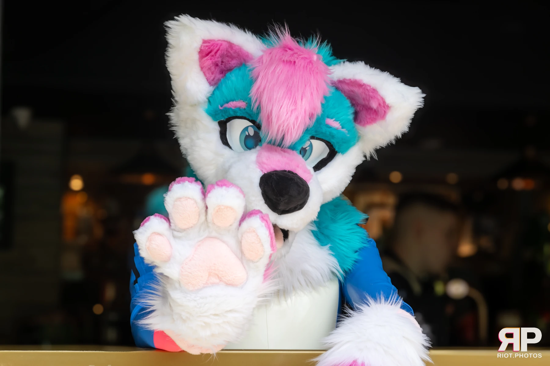 Pup Kaz — furry & pup photography by Fluffy Riot — photo 619