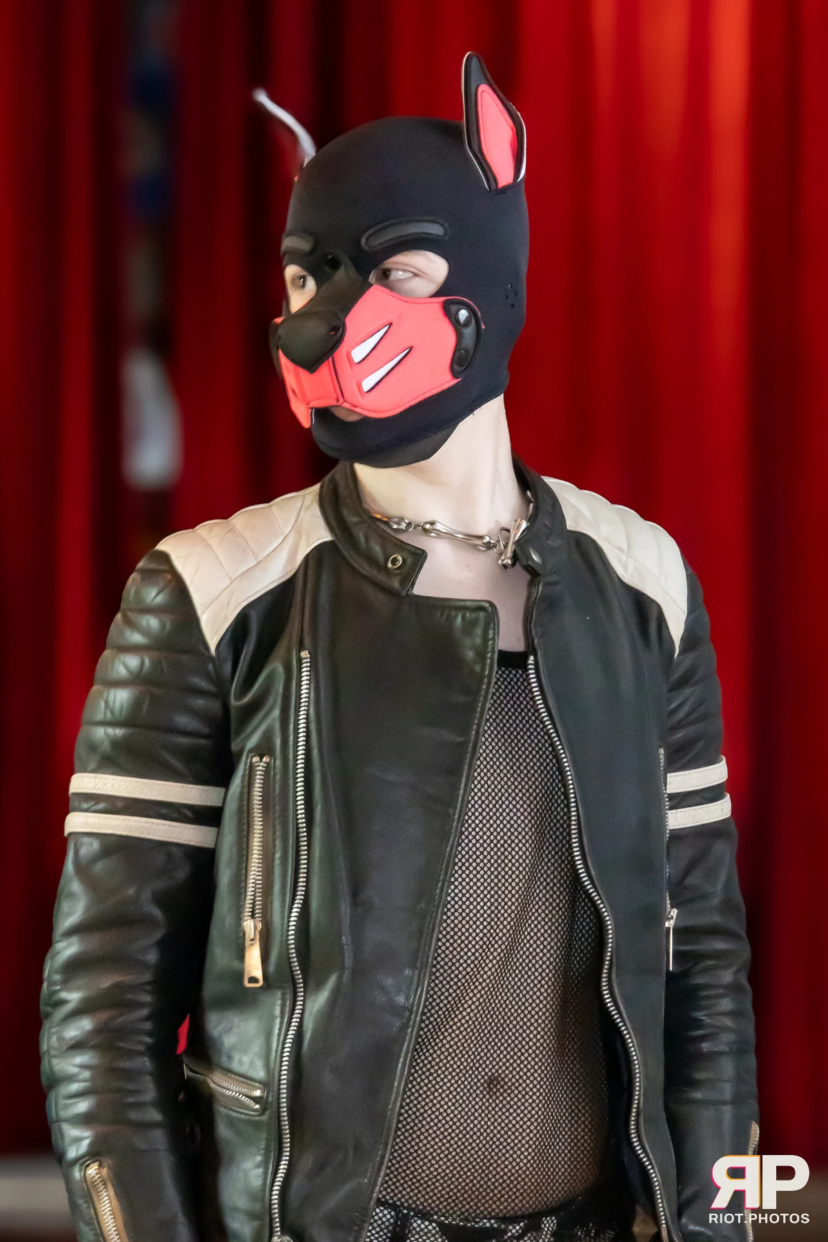 Pup Nightshade — furry & pup photography by Fluffy Riot — photo 24