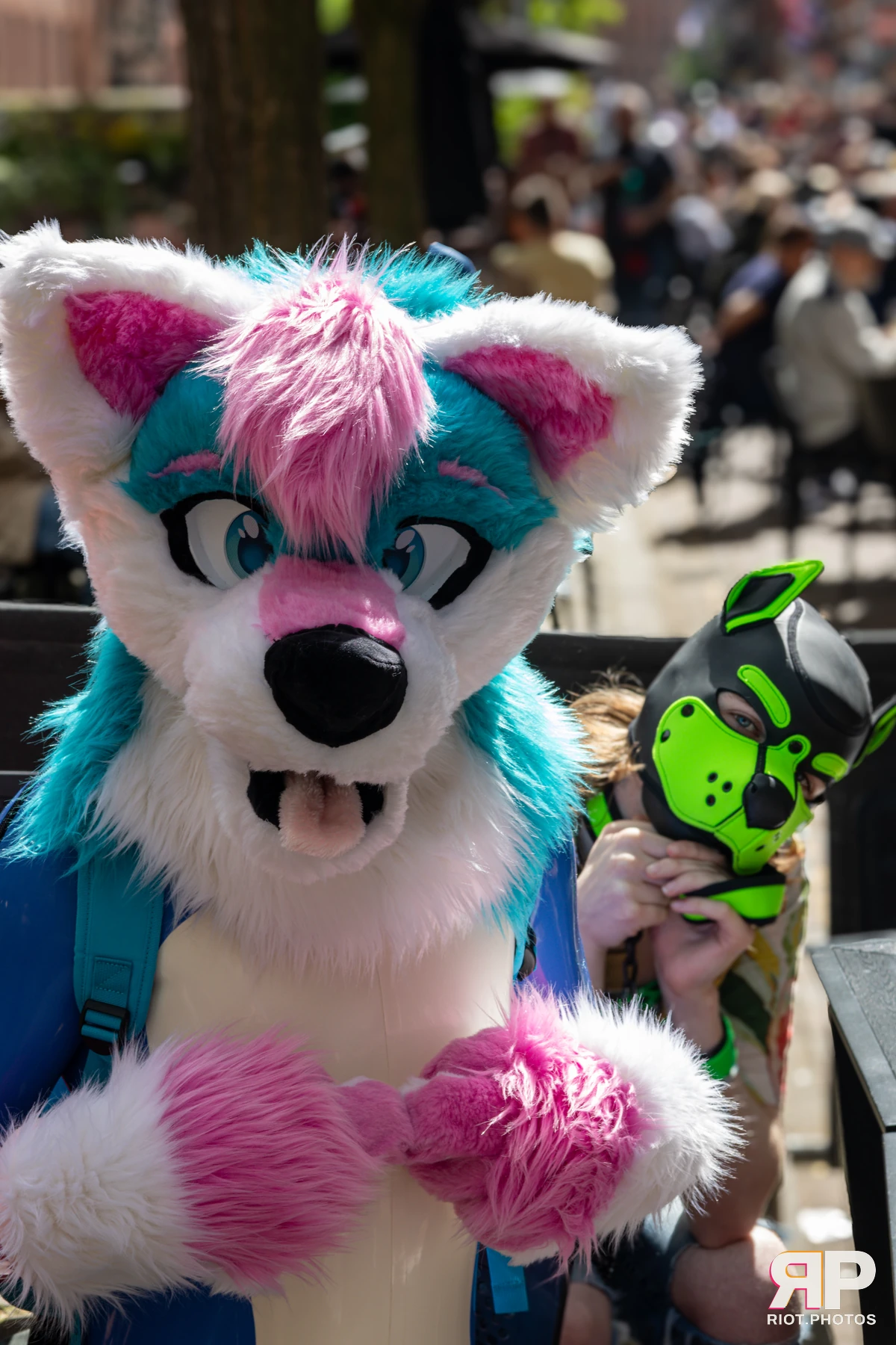 Pup Kaz — furry & pup photography by Fluffy Riot — photo 622