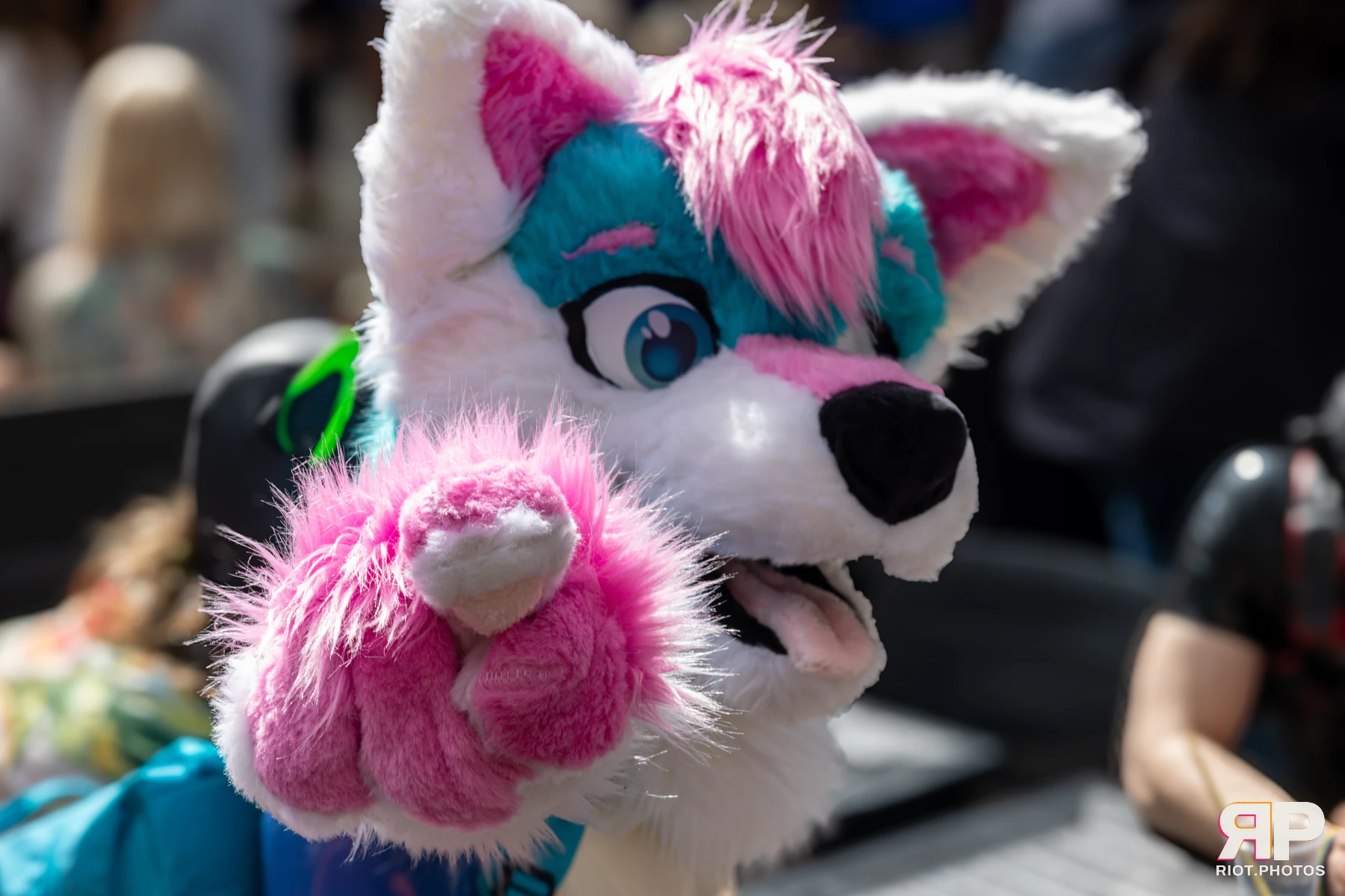 Pup Kaz — furry & pup photography by Fluffy Riot — photo 623